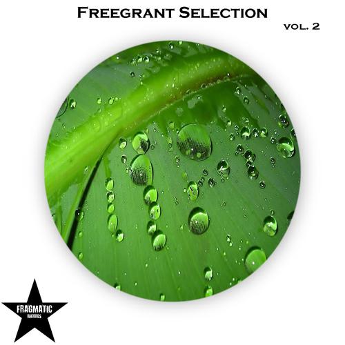 Постер альбома Freegrant Selection, Vol. 2