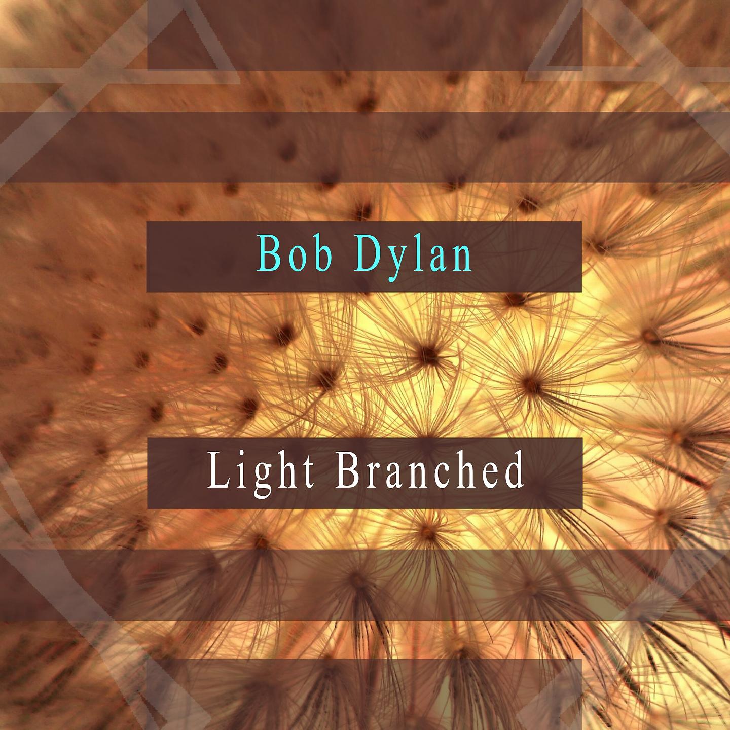 Постер альбома Light Branched