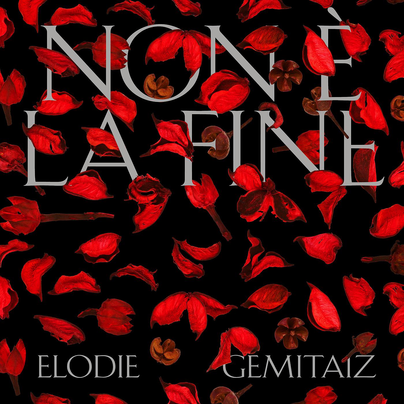 Постер альбома Non È La Fine