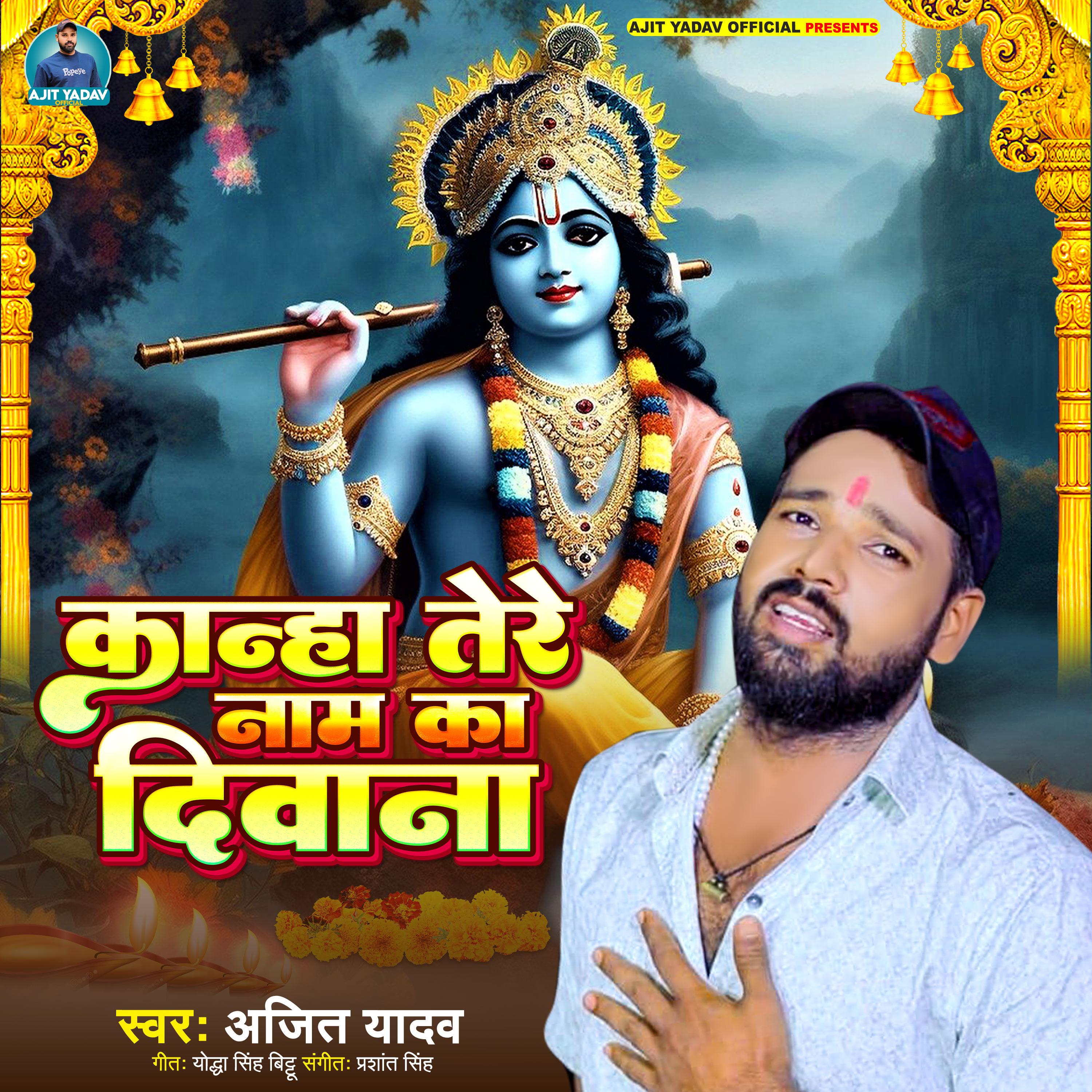 Постер альбома Kanha Tere Naam Ka Diwana