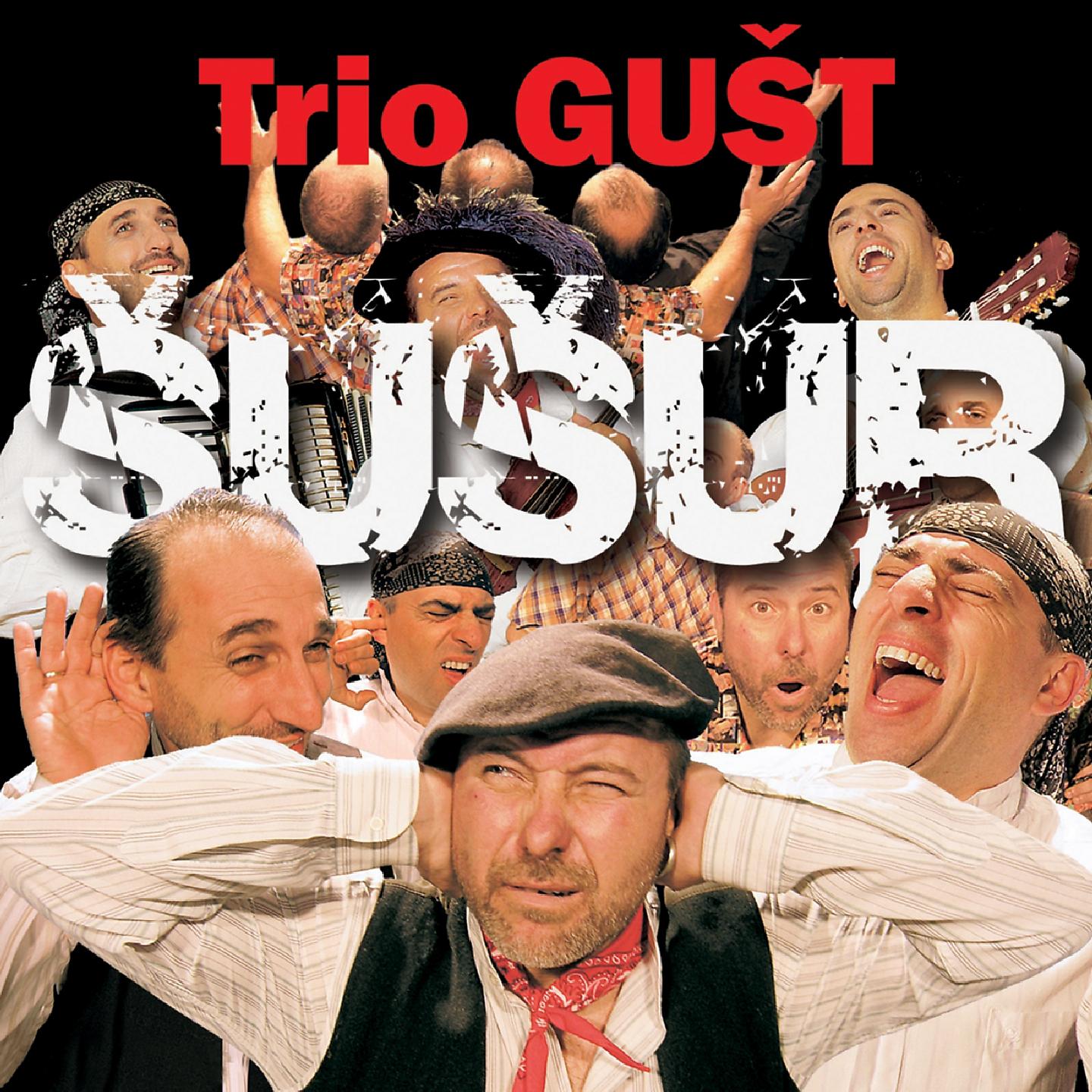Постер альбома Šušur