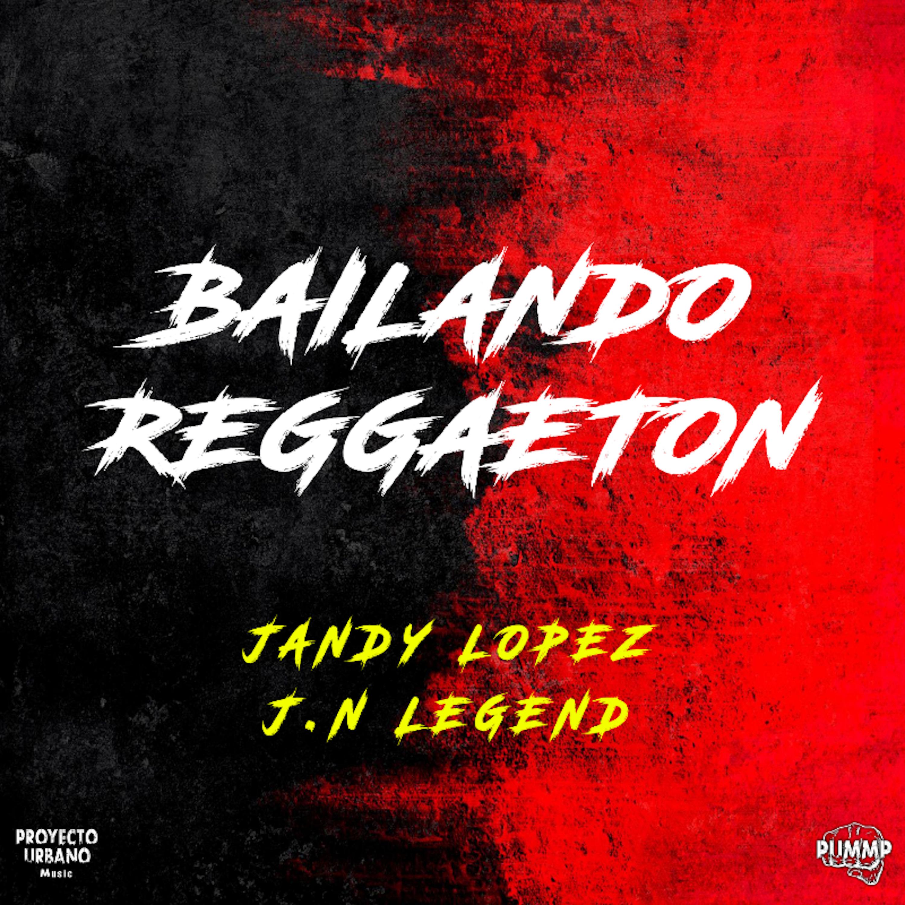 Постер альбома Bailando Reggaeton