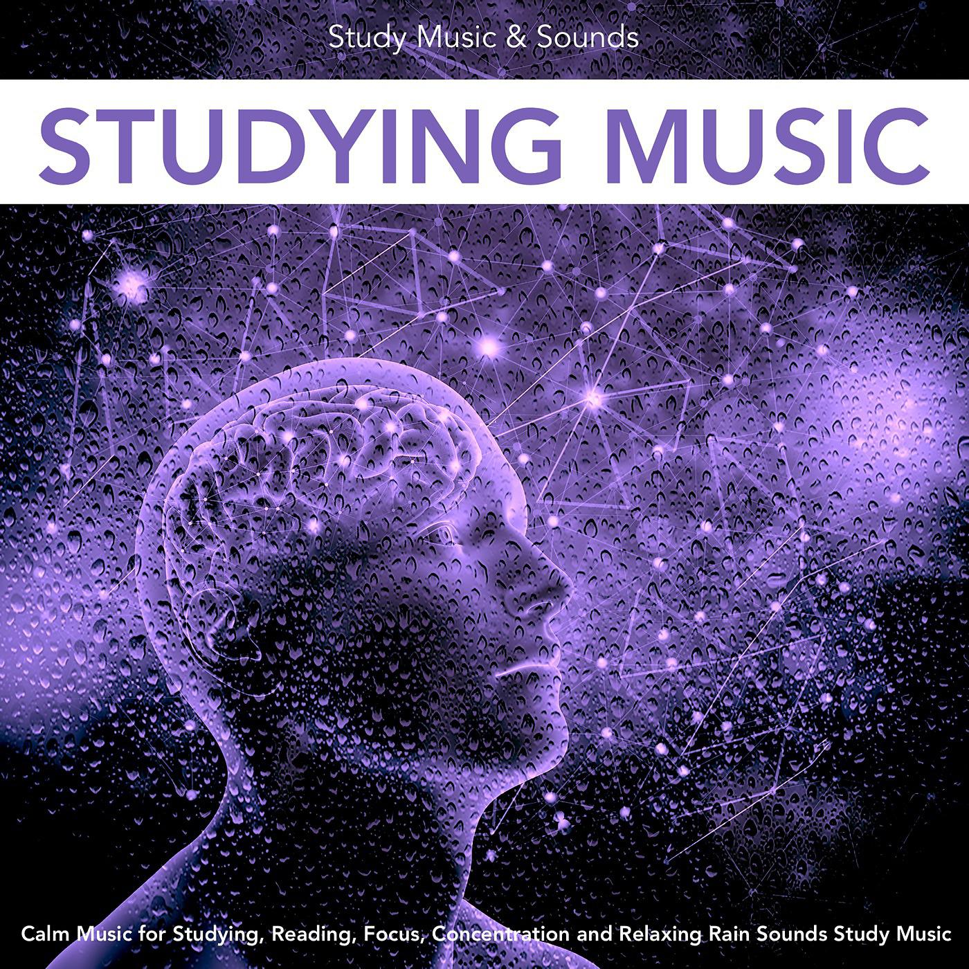 Постер альбома Studying Music: Calm Music for Studying, Reading, Focus, Concentration and Relaxing Rain Sounds Study Music