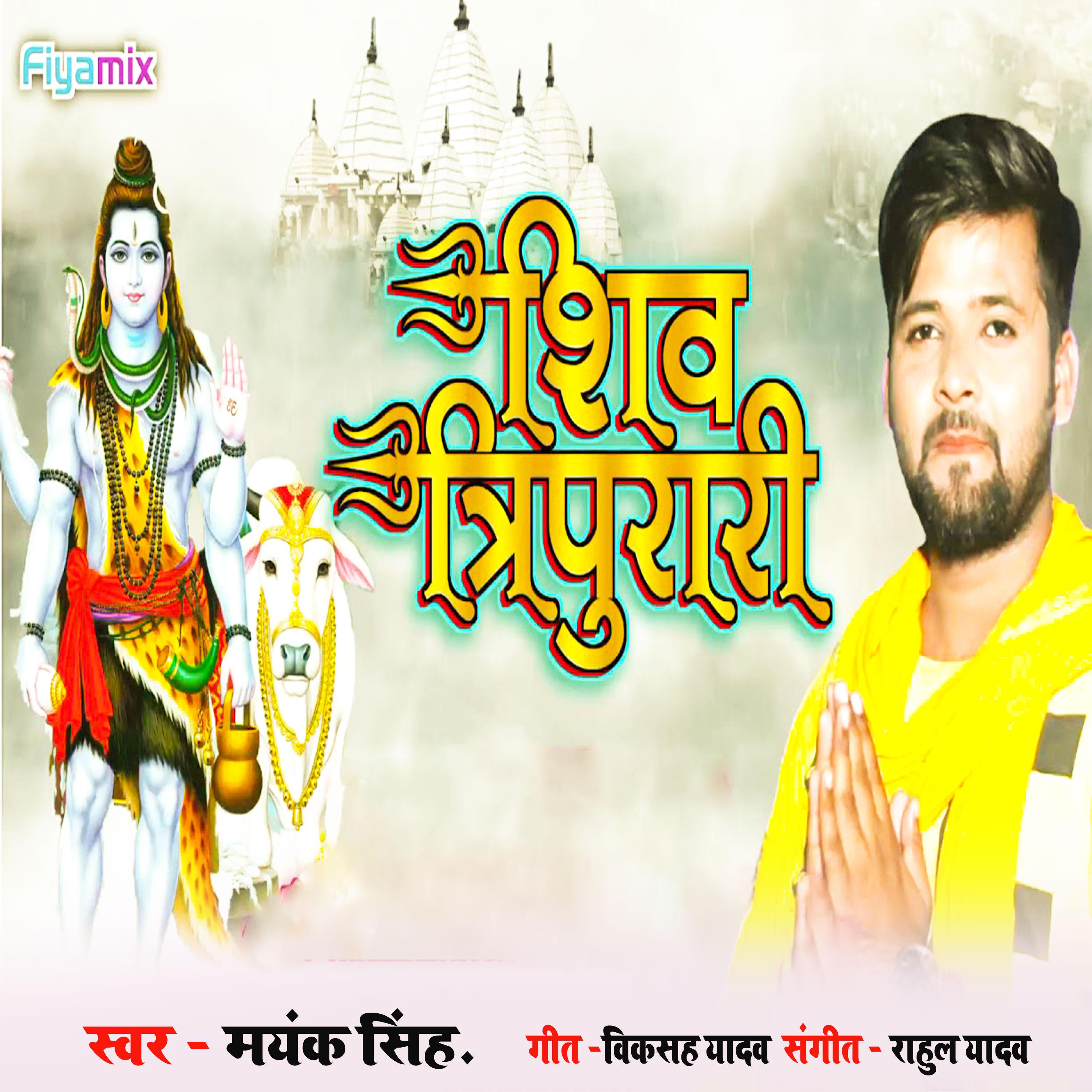 Постер альбома Shiv Tripurari