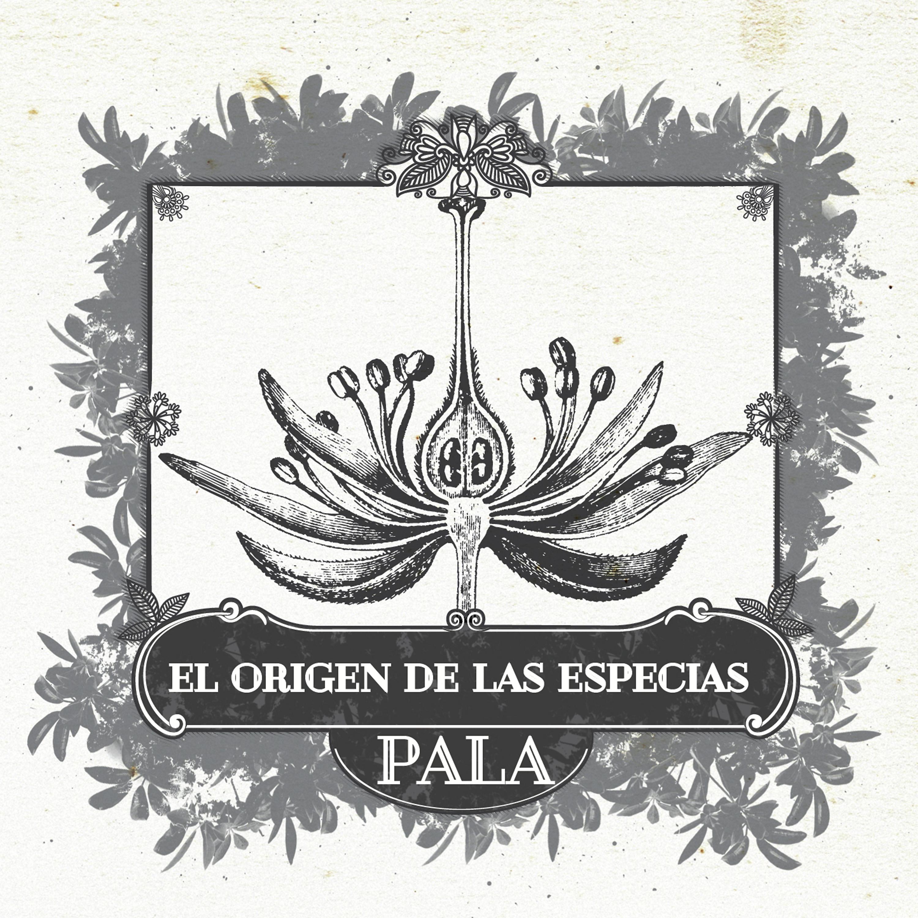 Постер альбома El Origen de las Especias, Vol. 2