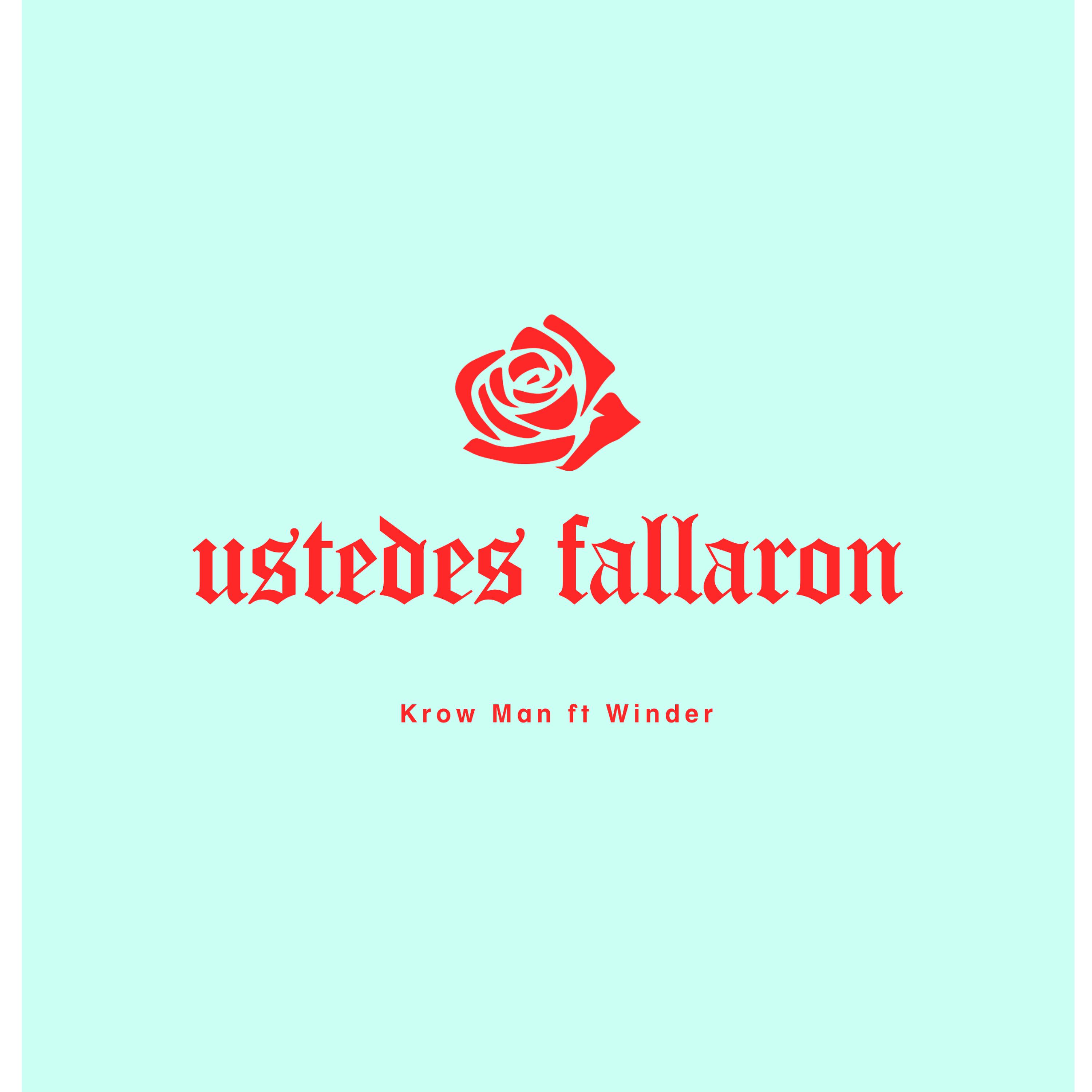 Постер альбома Ustedes Fallaron