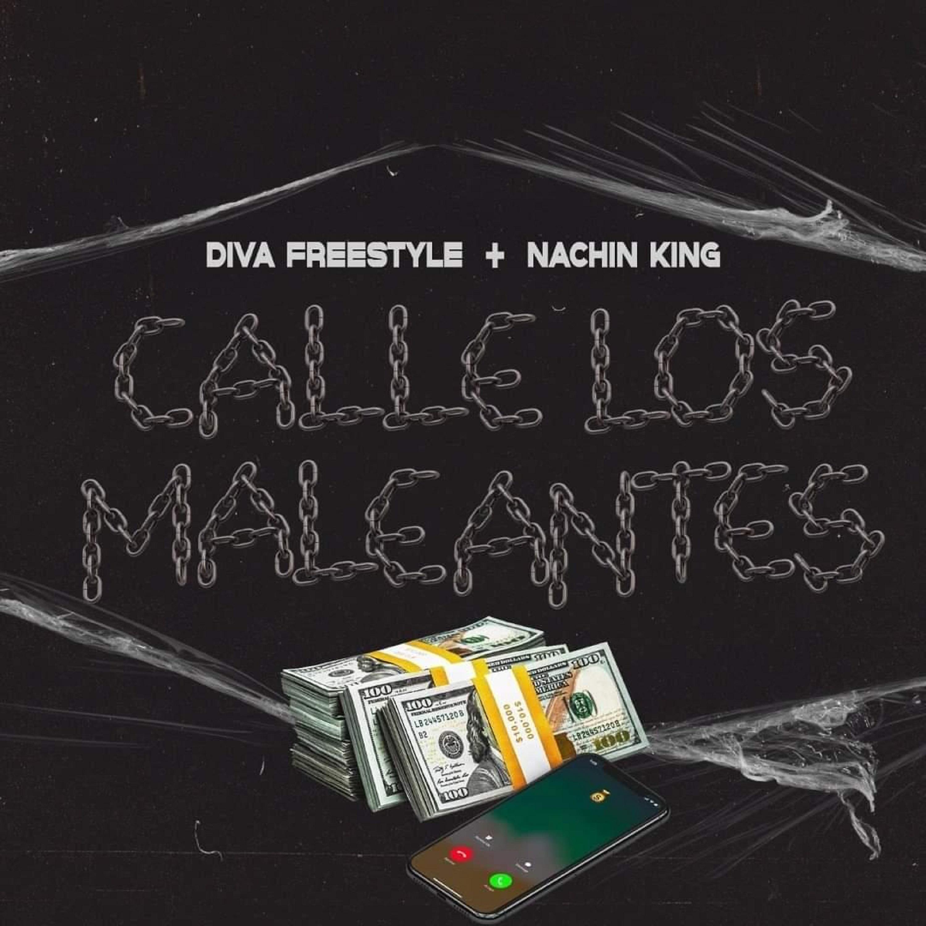 Постер альбома Calle los Maleantes
