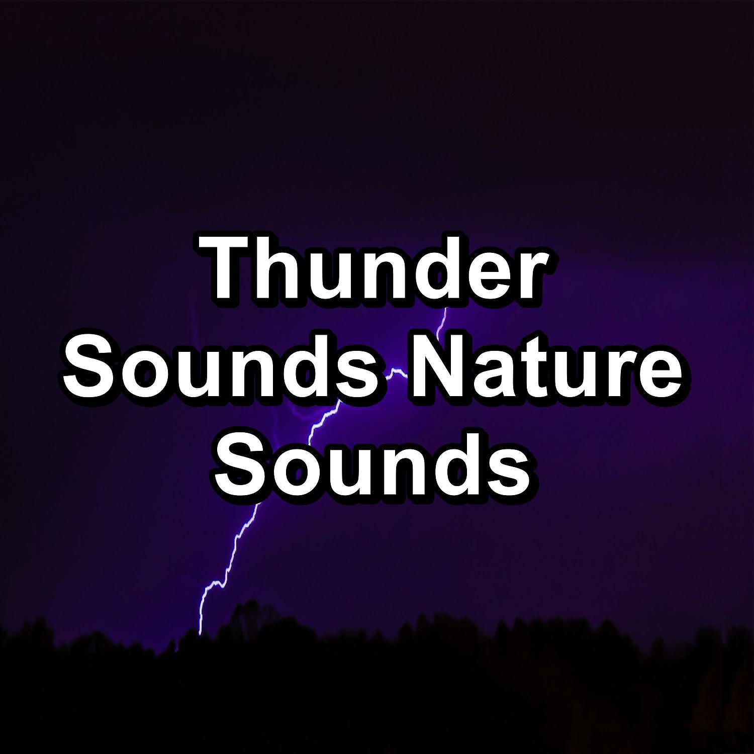 Постер альбома Thunder Sounds Nature Sounds