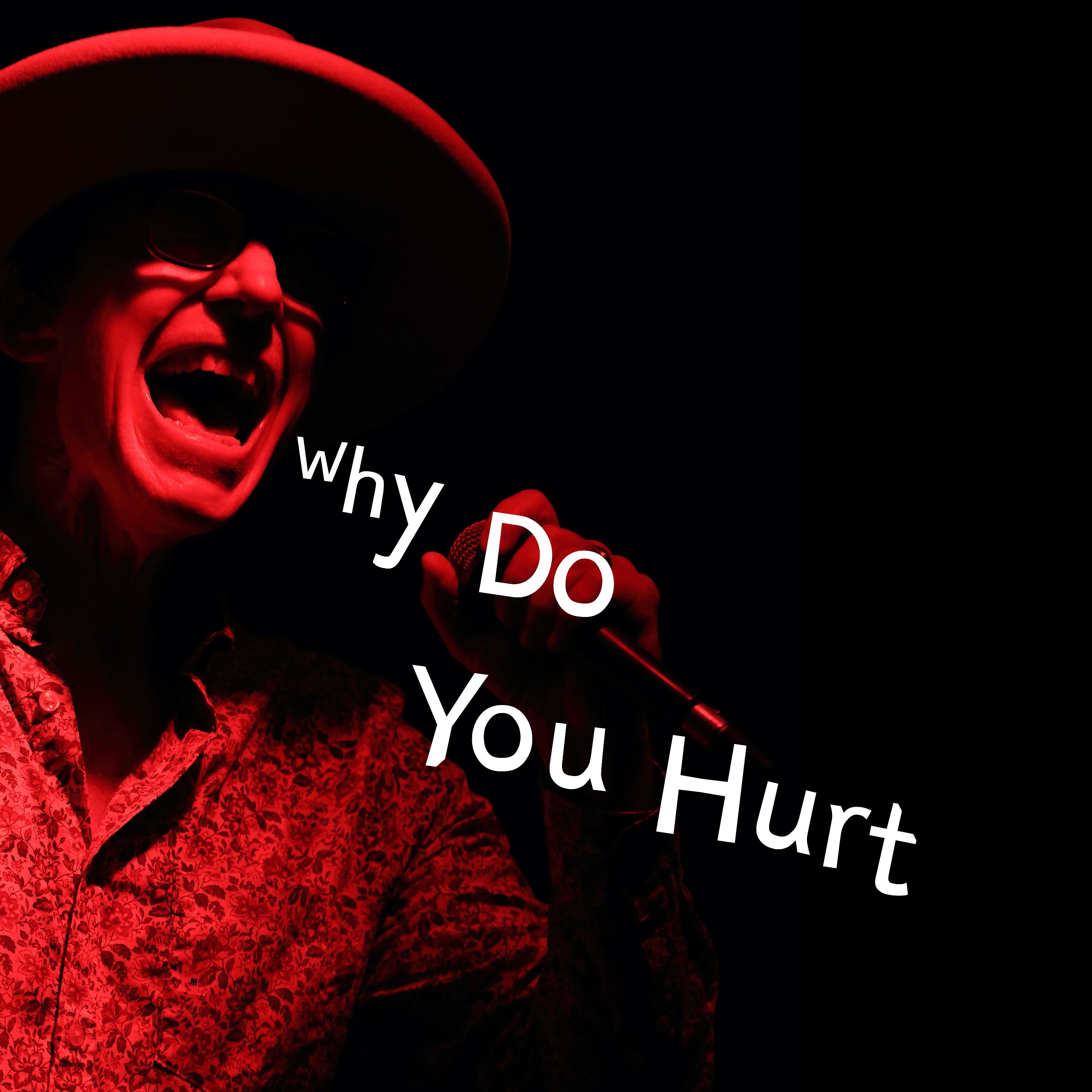 Постер альбома Why Do You Hurt