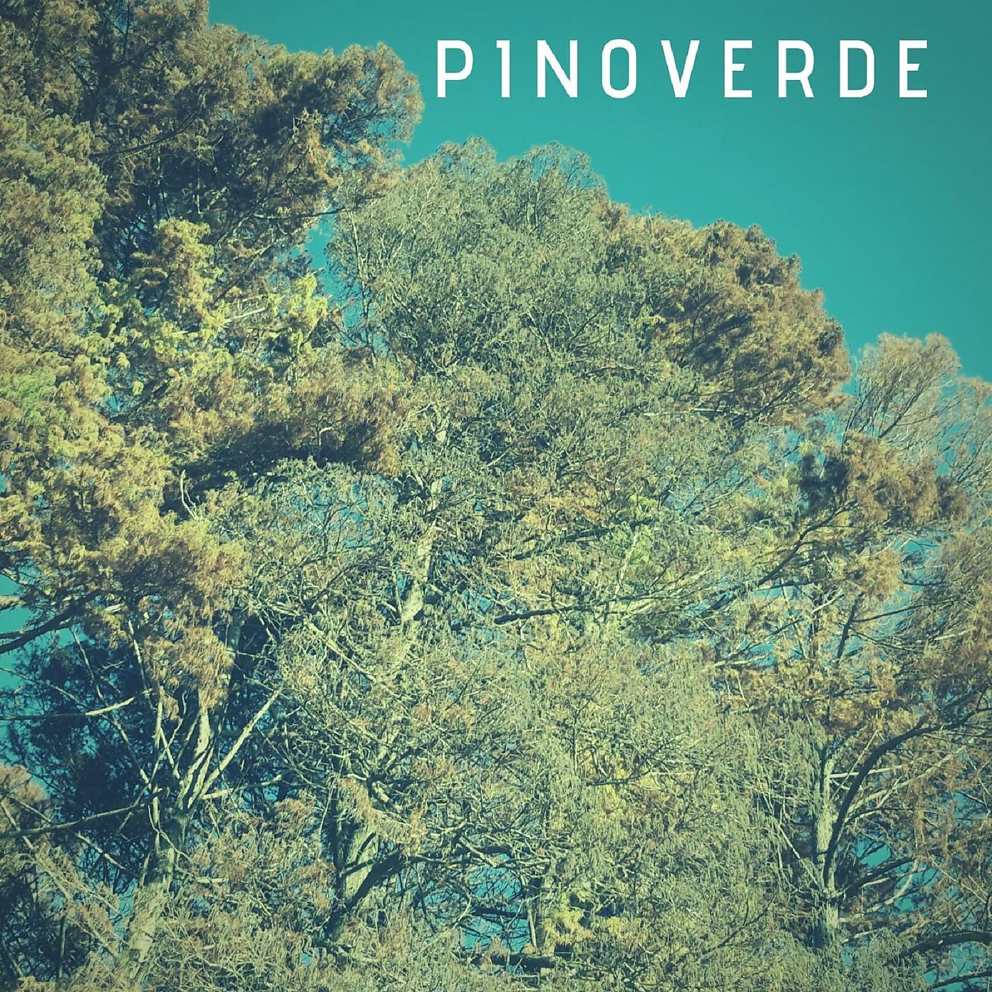 Постер альбома Pino Verde