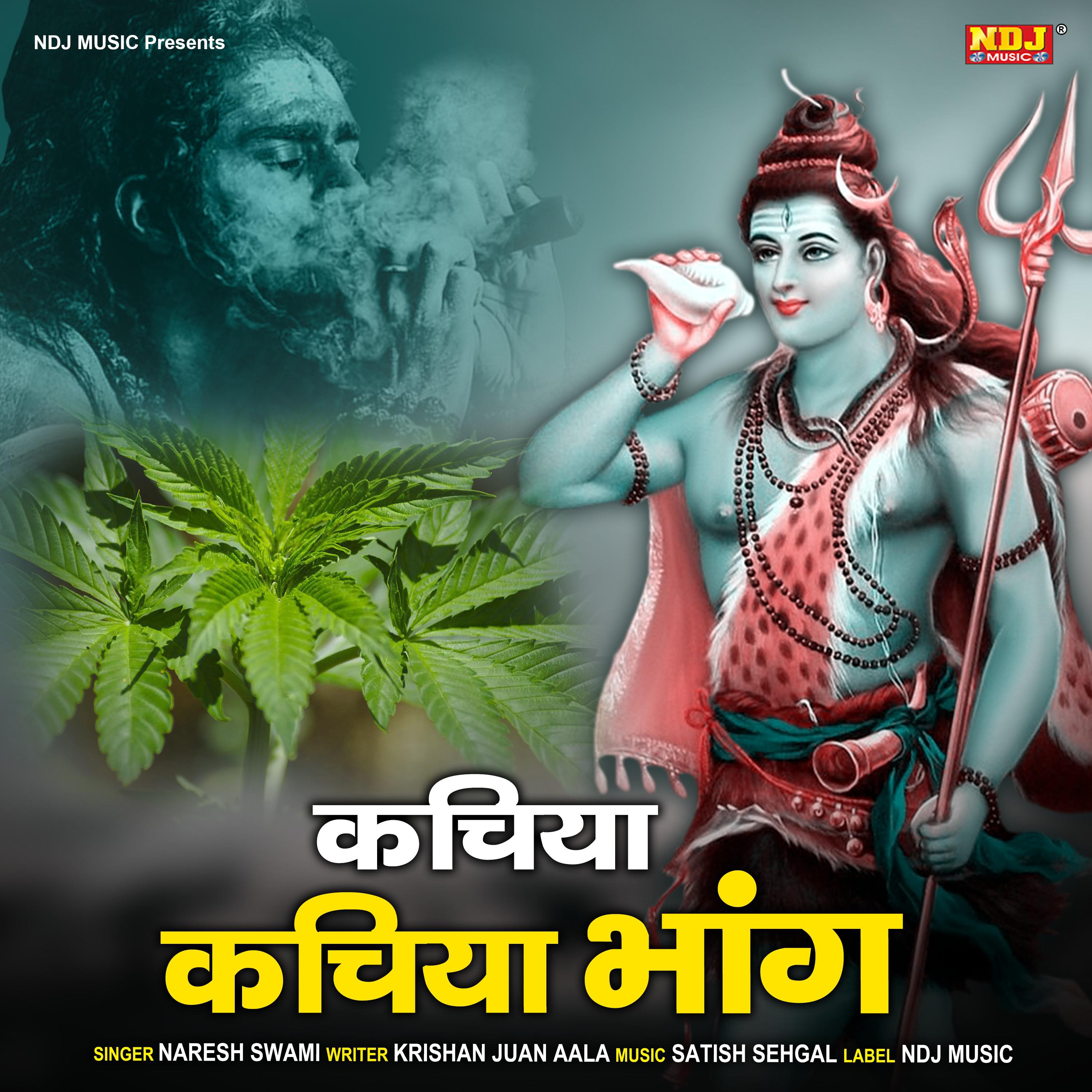 Постер альбома Kachiya Kchiya Bhang