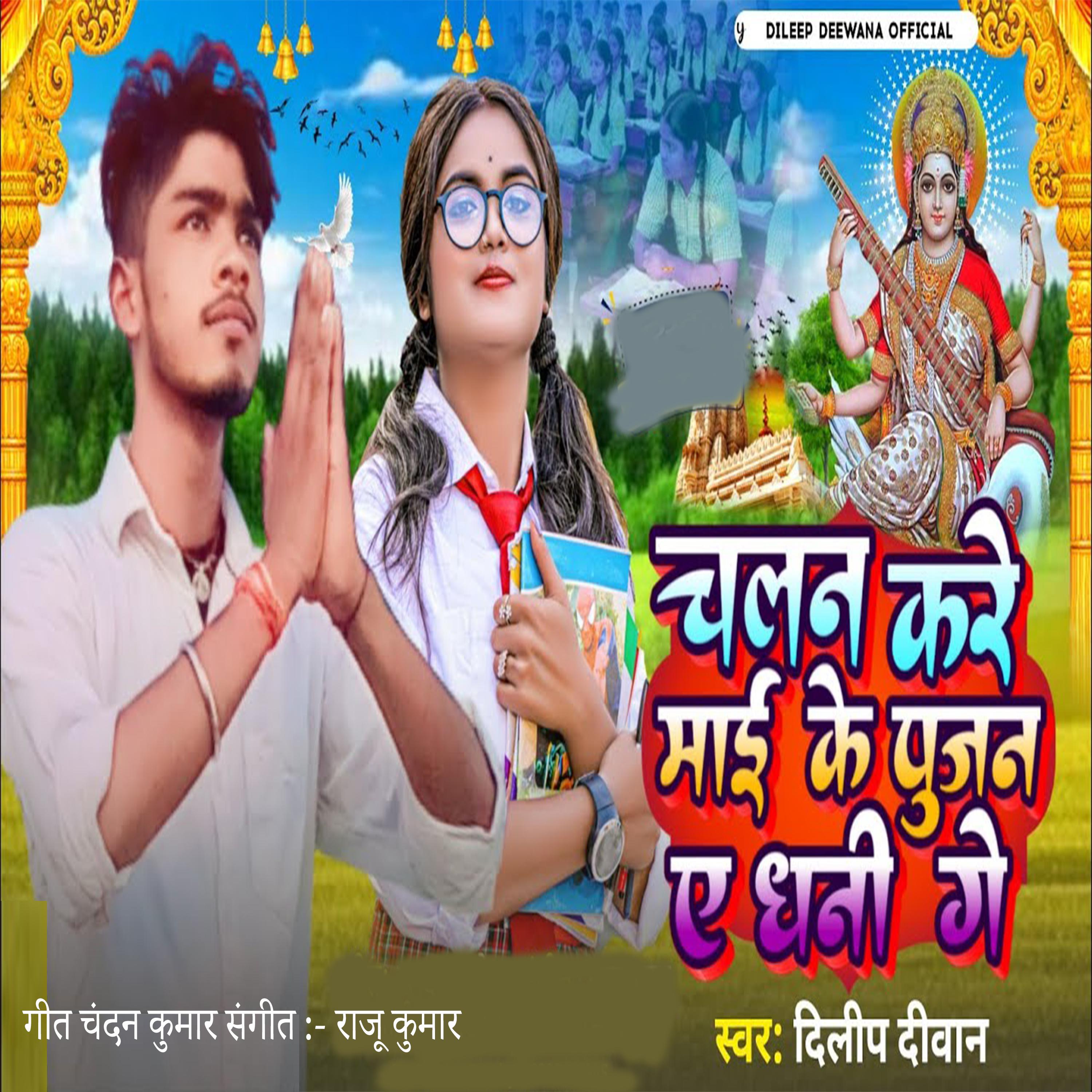 Постер альбома Chalna Kare Mai Ke Pujan Kare Dhani Ge