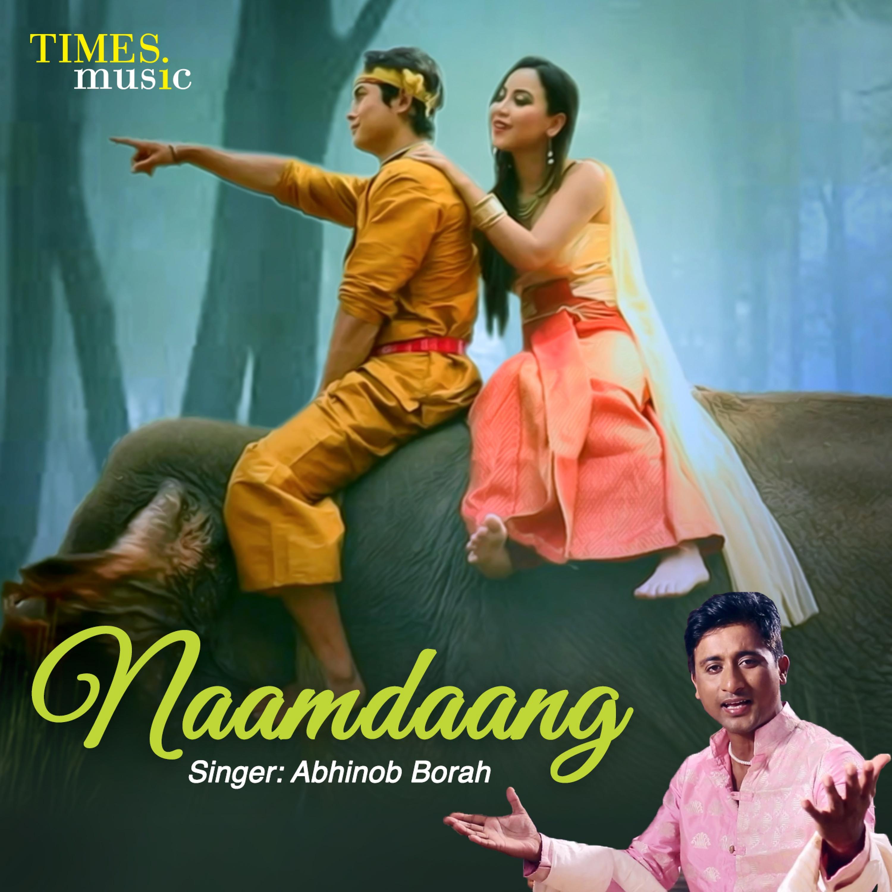 Постер альбома Naamdaang - Single