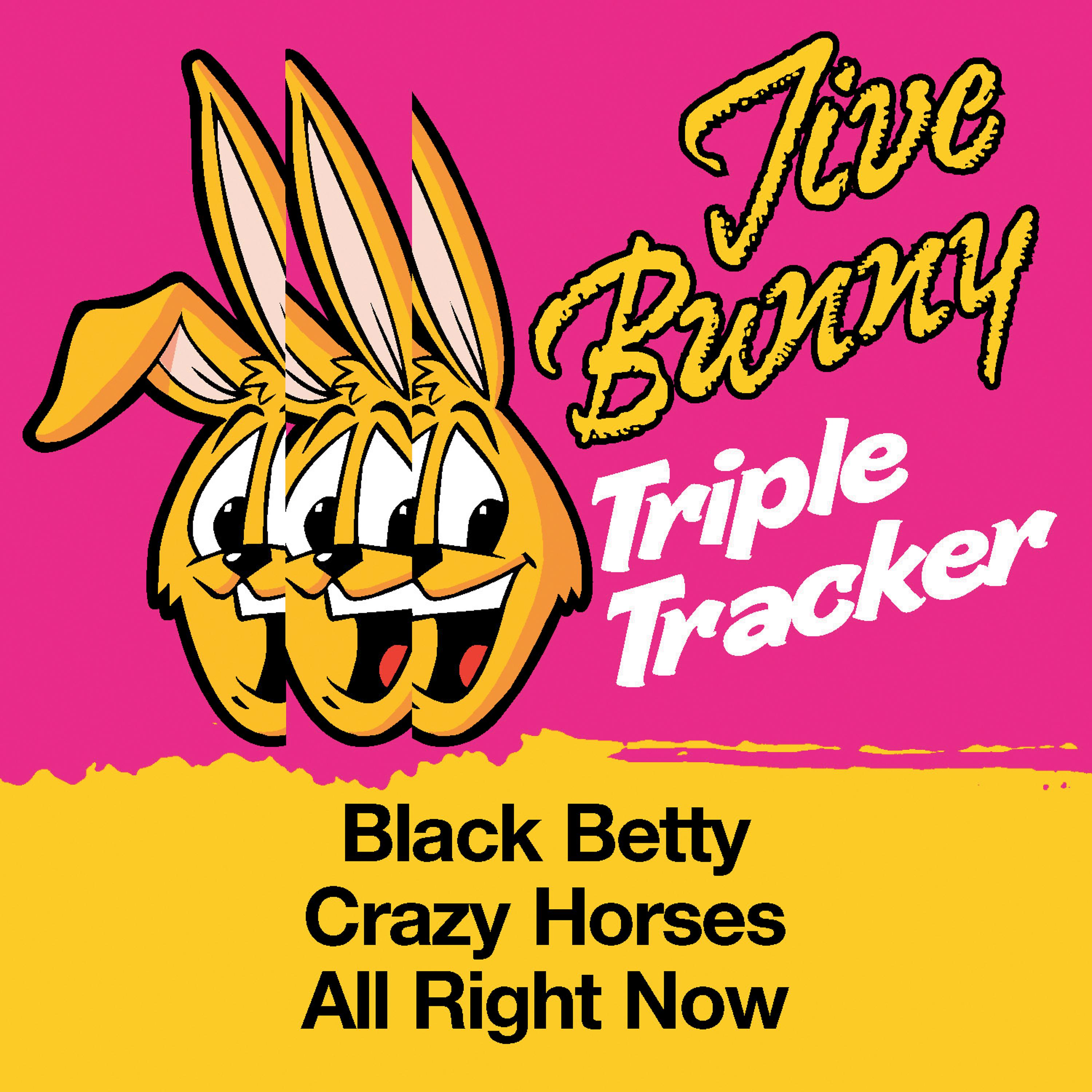 Постер альбома Jive Bunny Triple Tracker: Black Betty / Crazy Horses / All Right Now