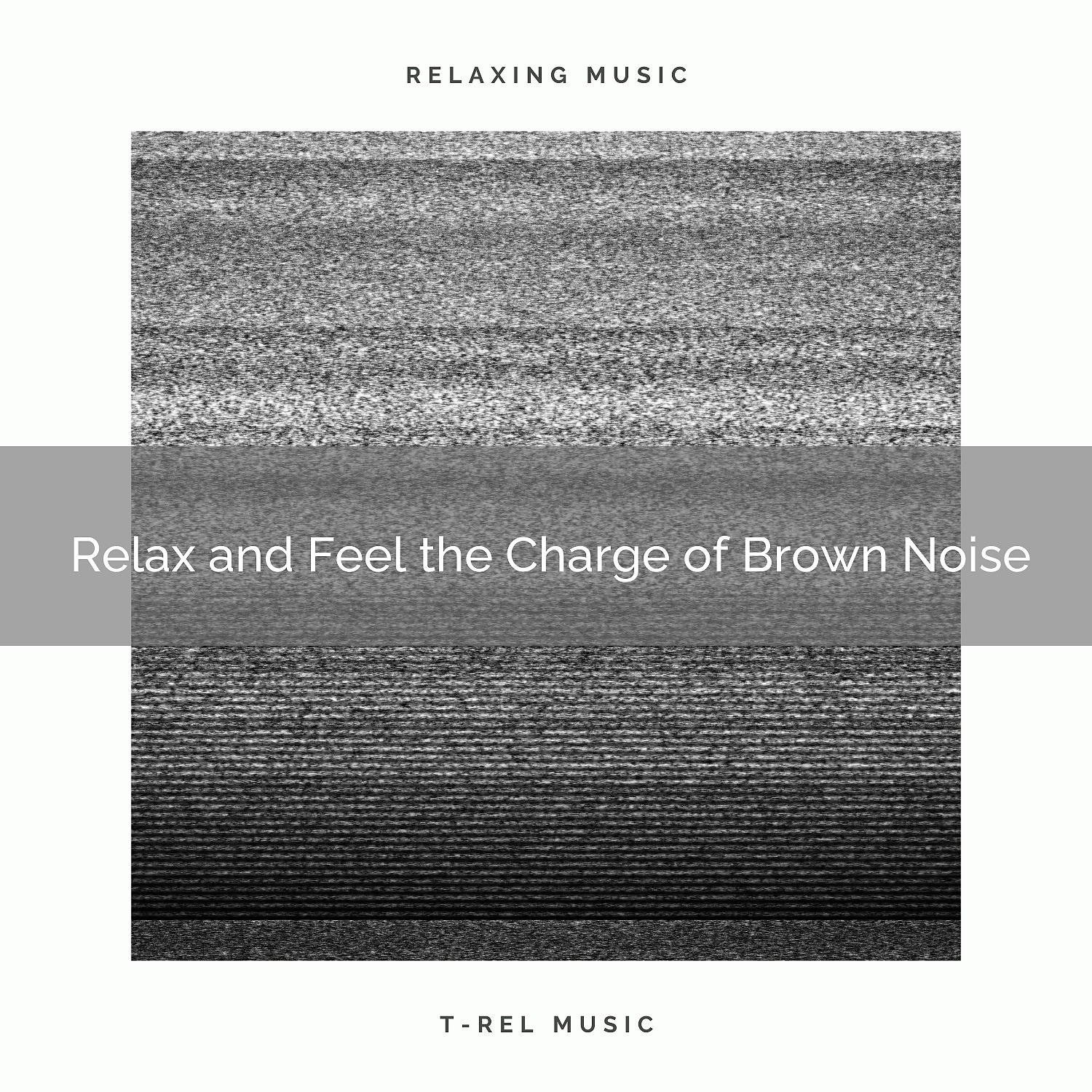Постер альбома Relax and Feel the Charge of Brown Noise