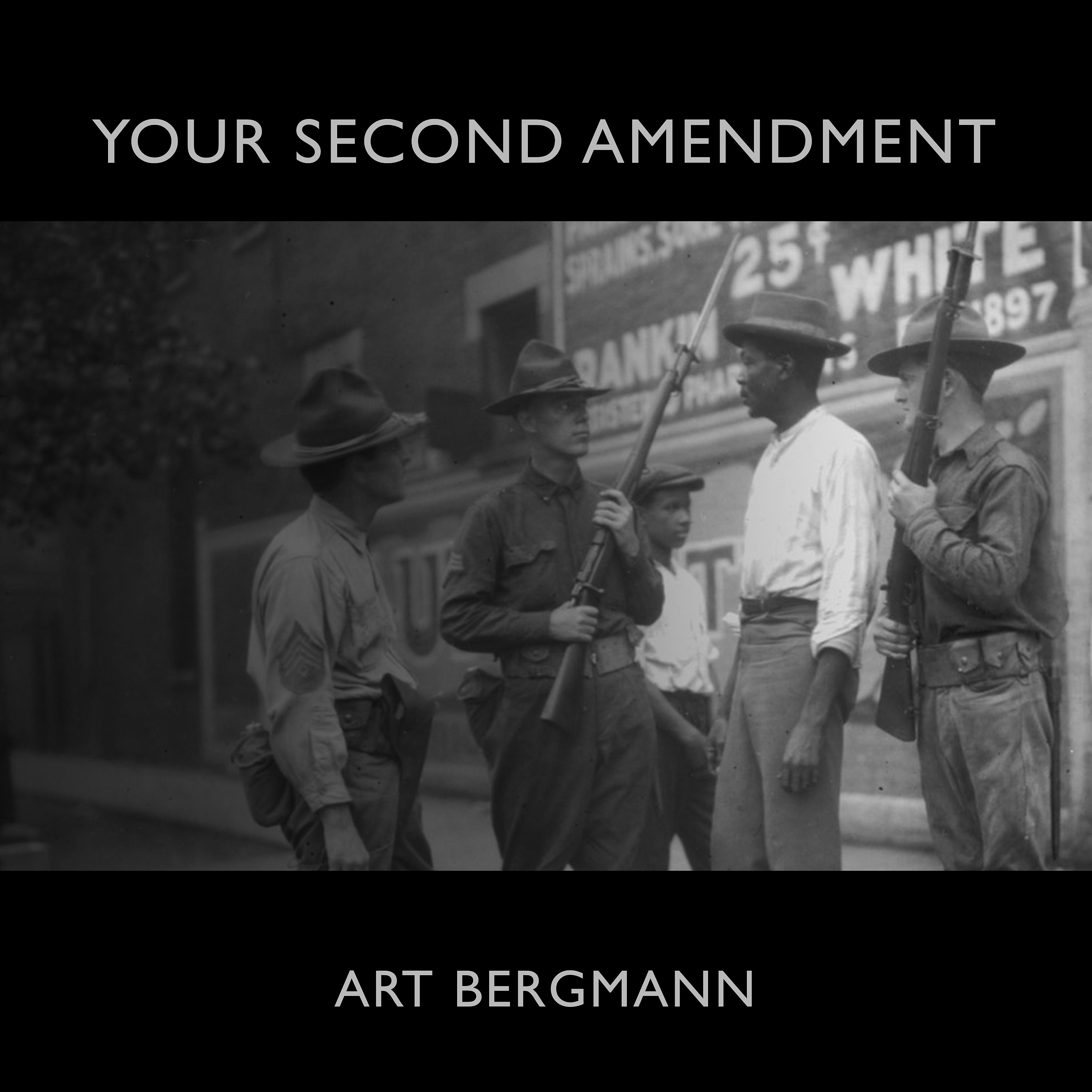 Постер альбома Your Second Amendment