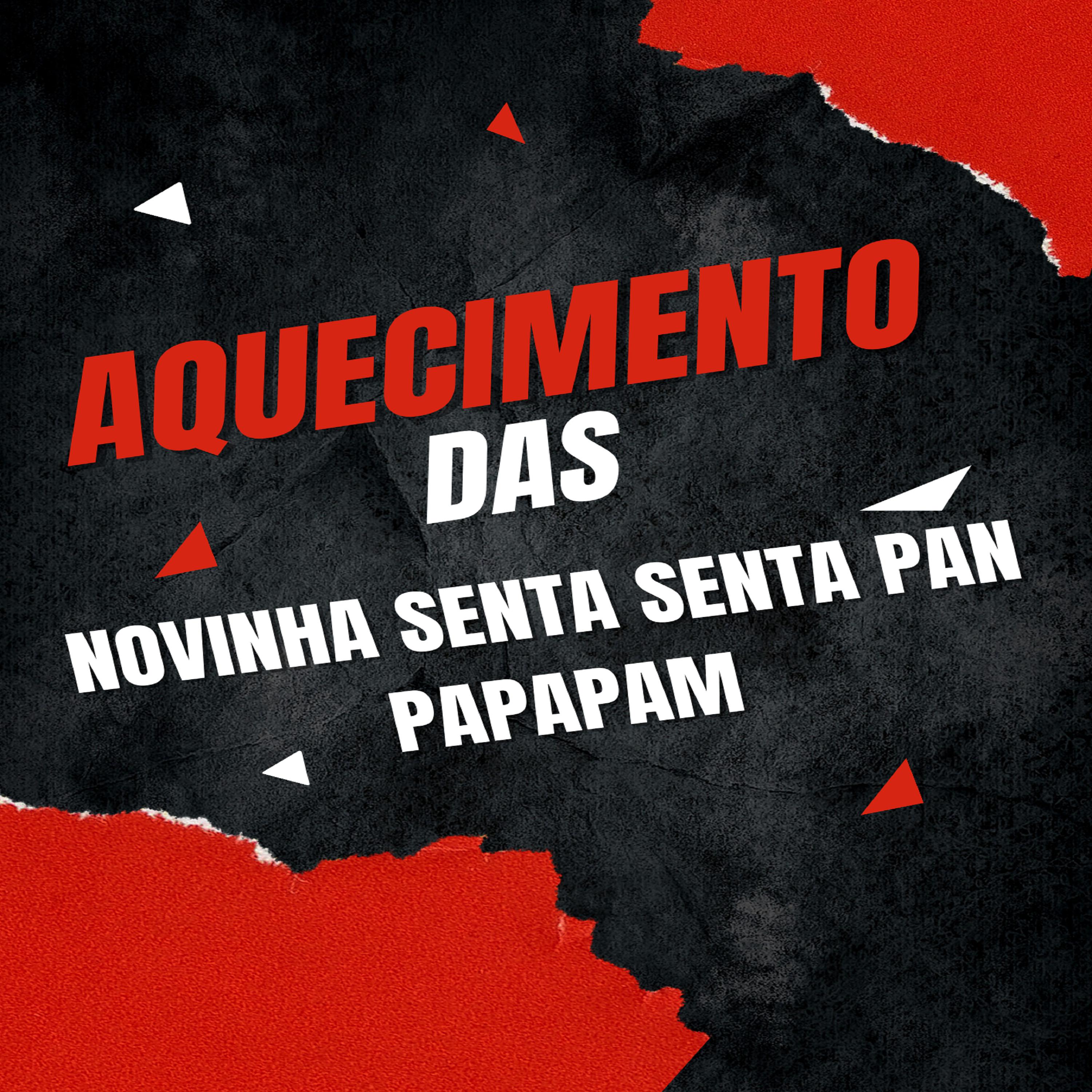 Постер альбома Aquecimento das Novinha Senta Senta Pan Papapam