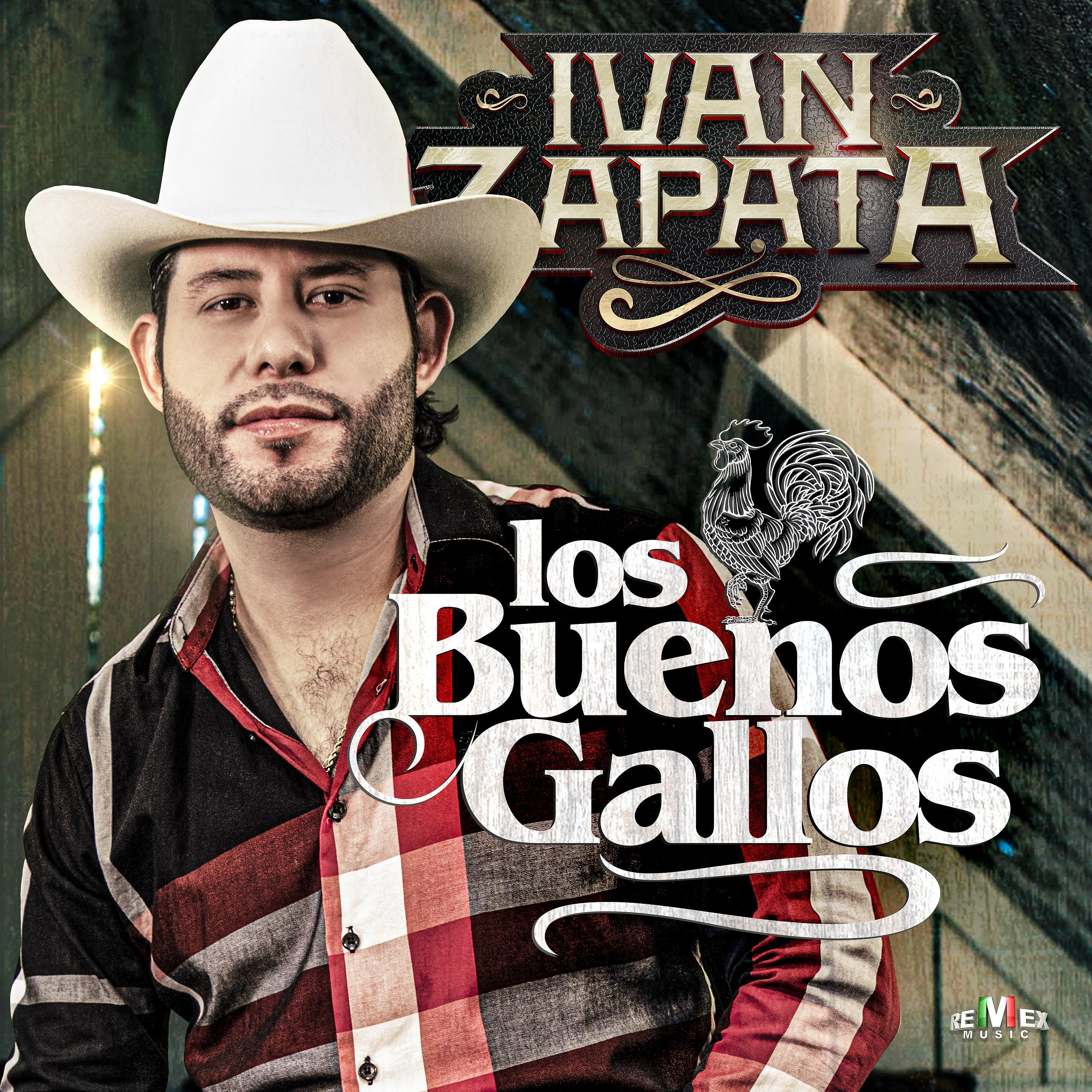 Постер альбома Los Buenos Gallos