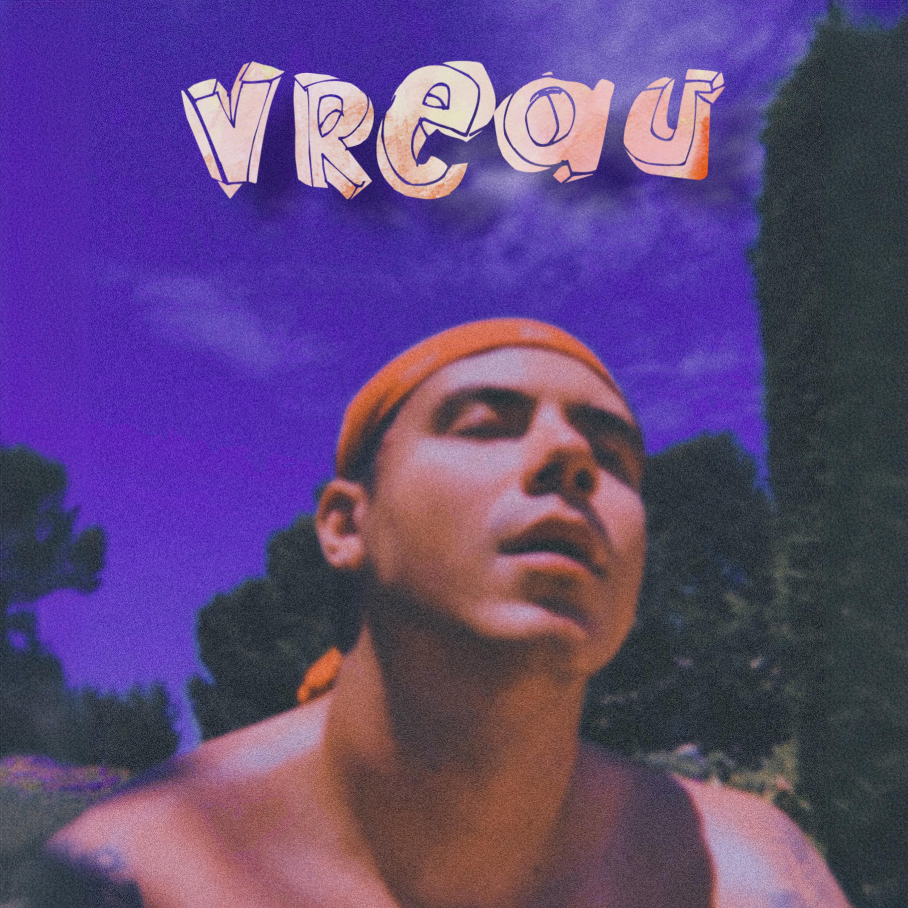 Постер альбома Vreau