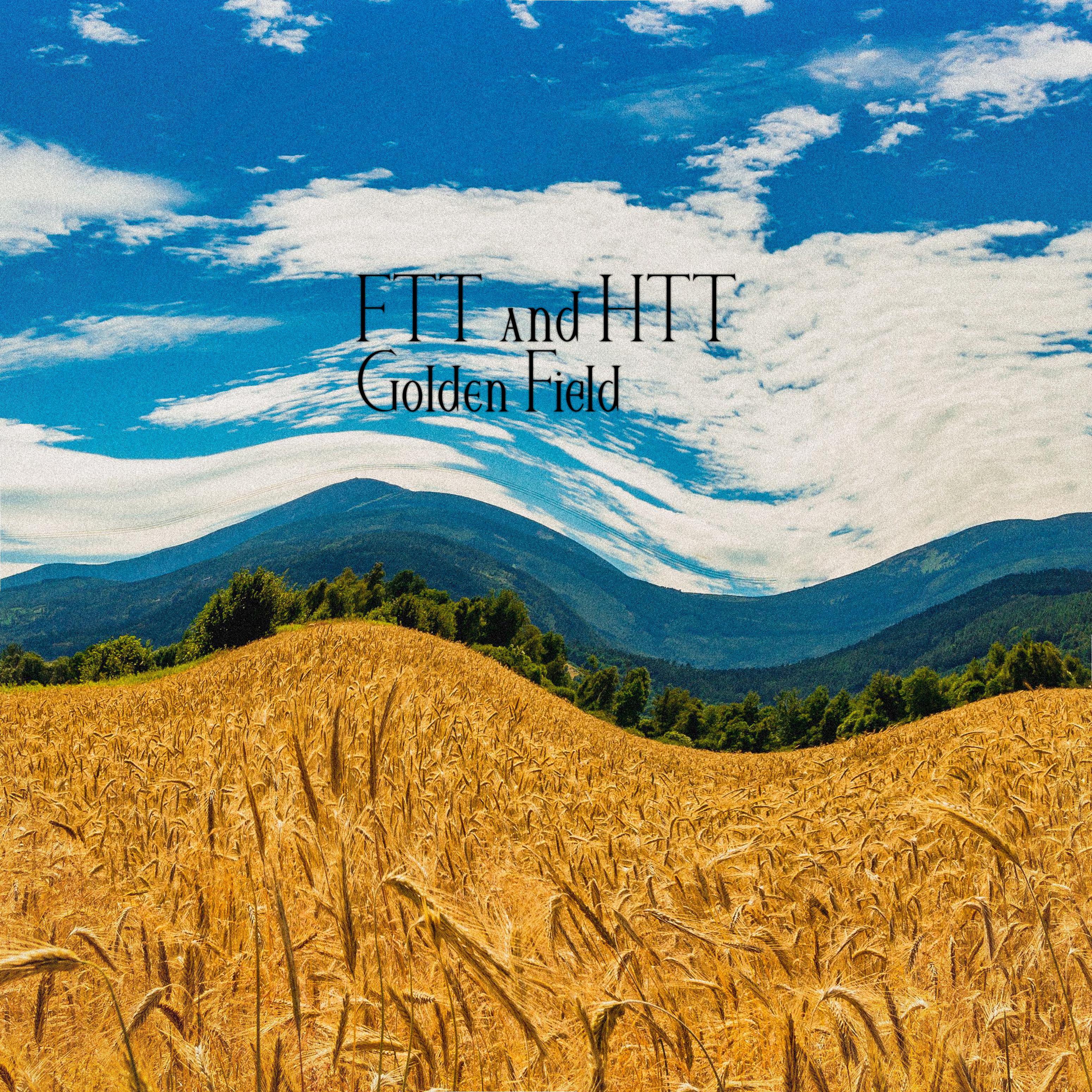 Постер альбома Golden Field