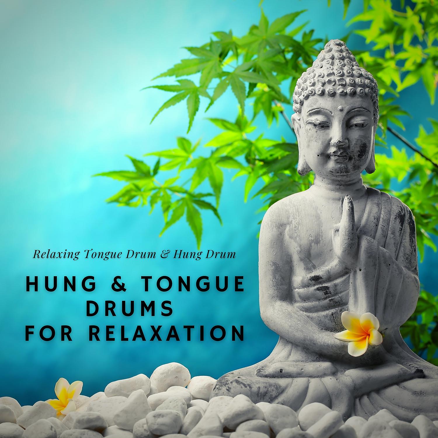Постер альбома Hung & Tongue Drums for Relaxation