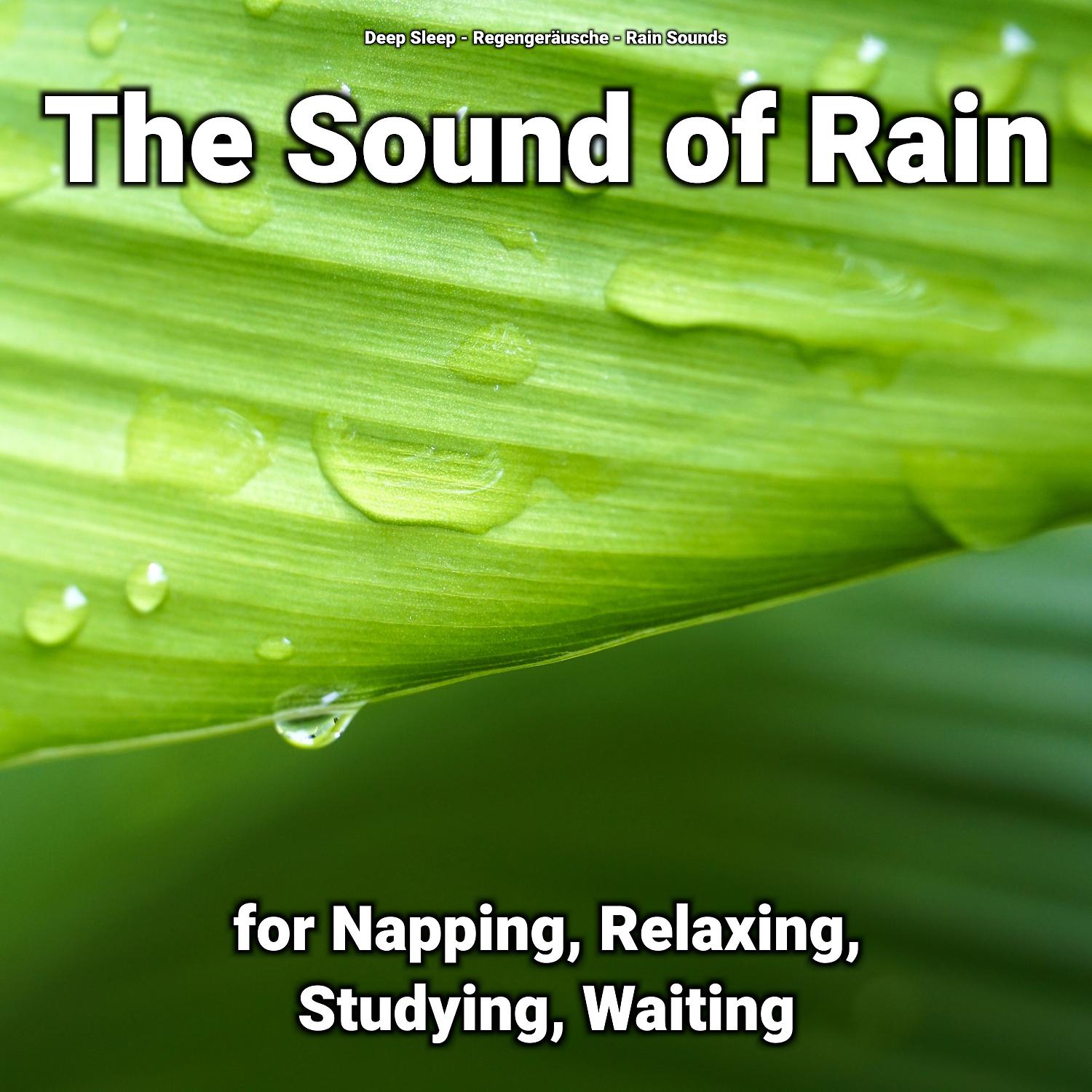 Постер альбома The Sound of Rain for Napping, Relaxing, Studying, Waiting