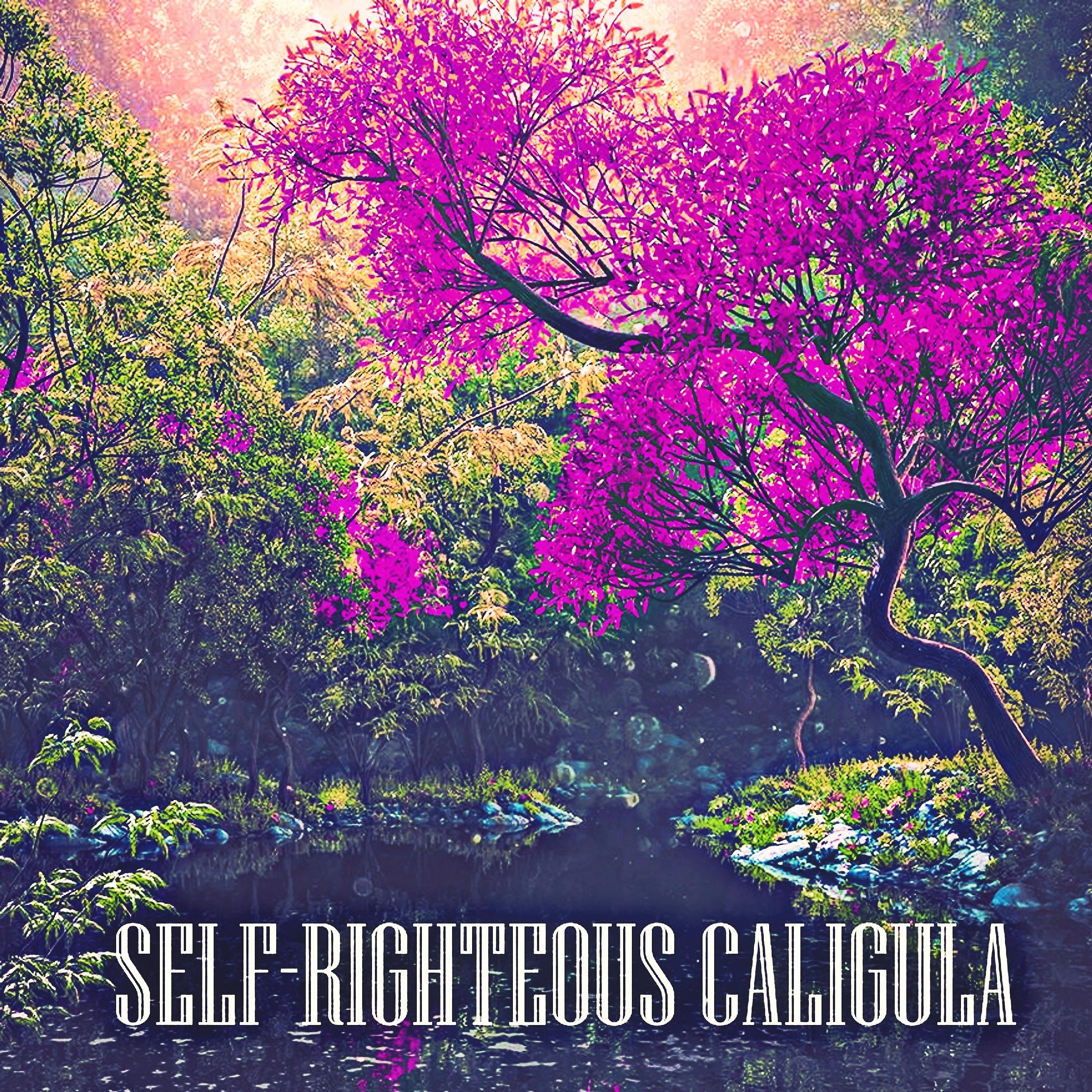 Постер альбома Self-righteous Caligula