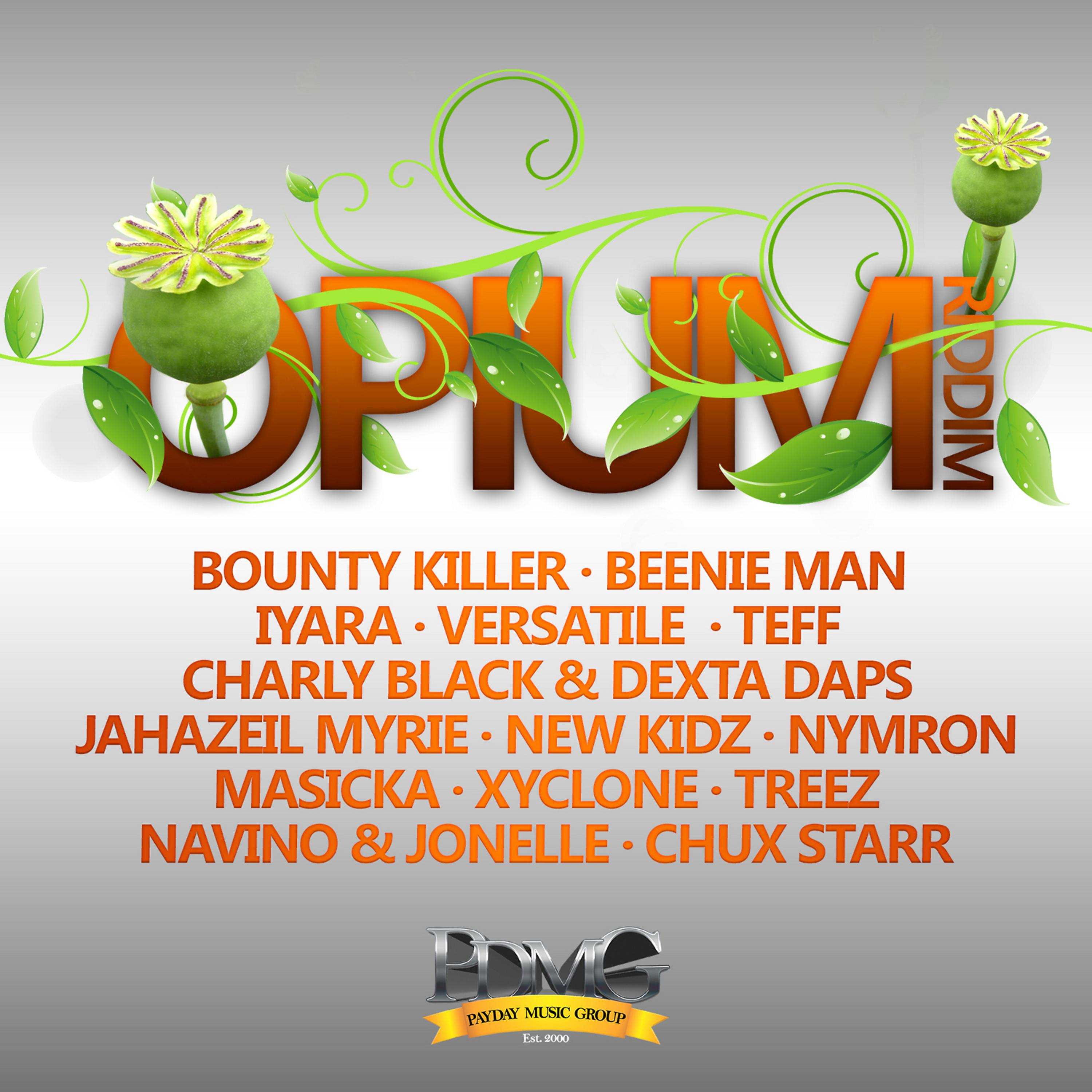 Постер альбома Opium Riddim
