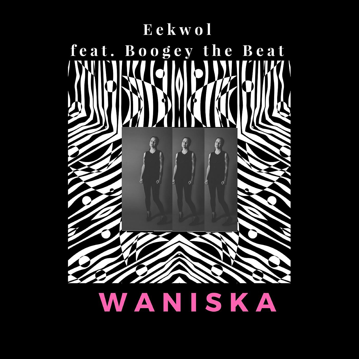 Постер альбома Waniska (feat. Boogey the Beat)