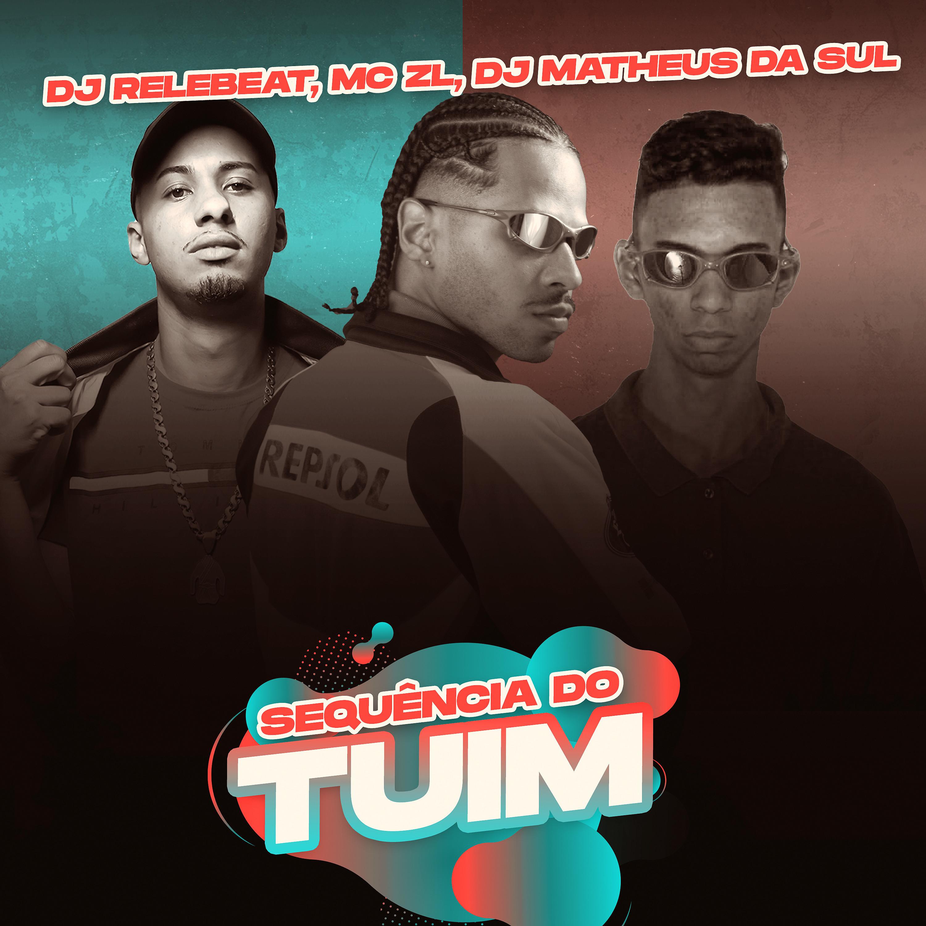 Постер альбома Sequência de Tuim