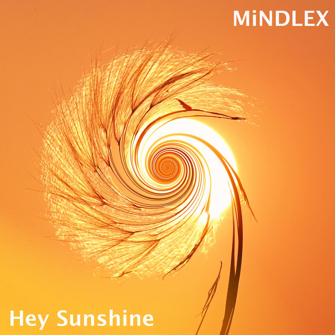 Постер альбома Hey Sunshine (Remix)