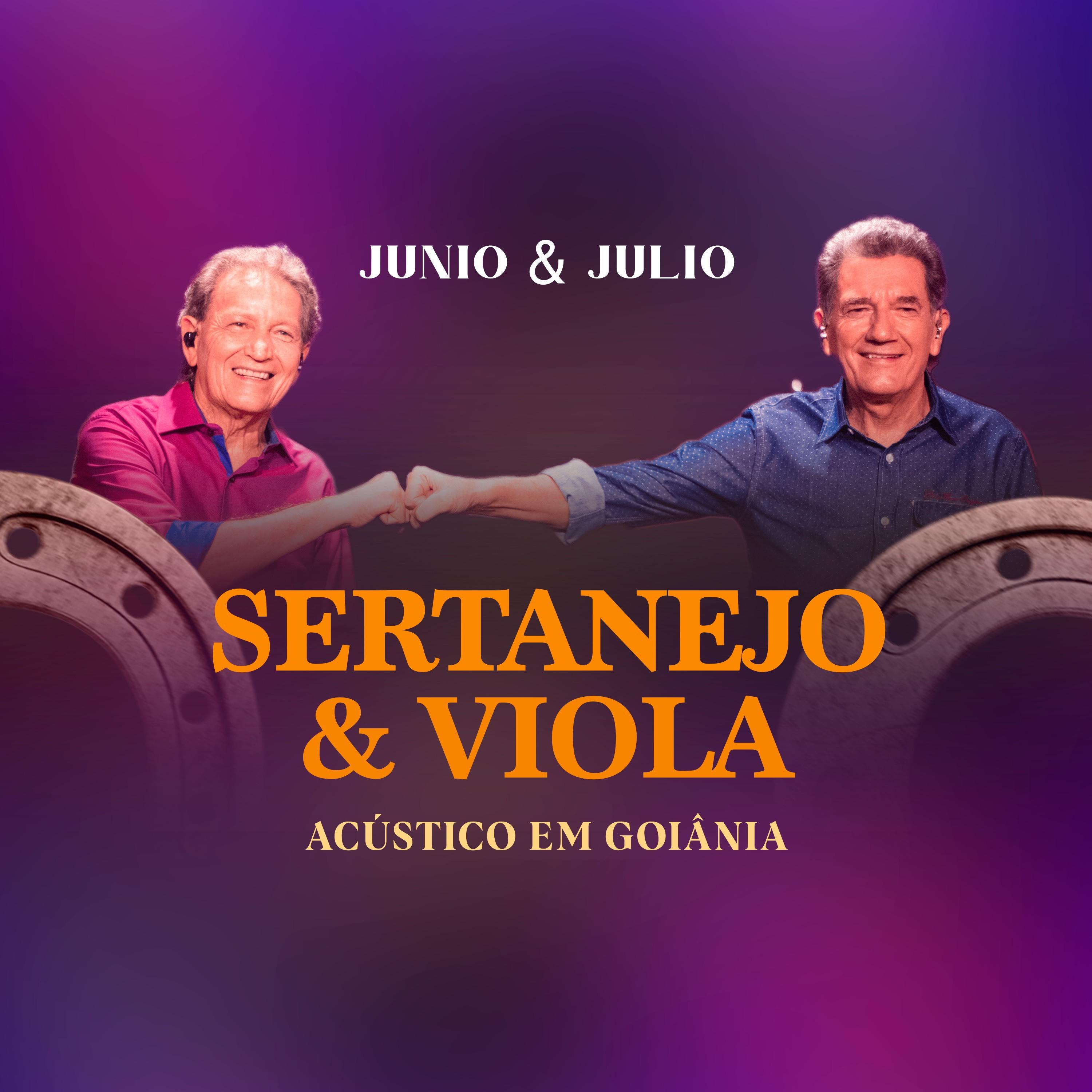 Постер альбома Sertanejo Com Viola