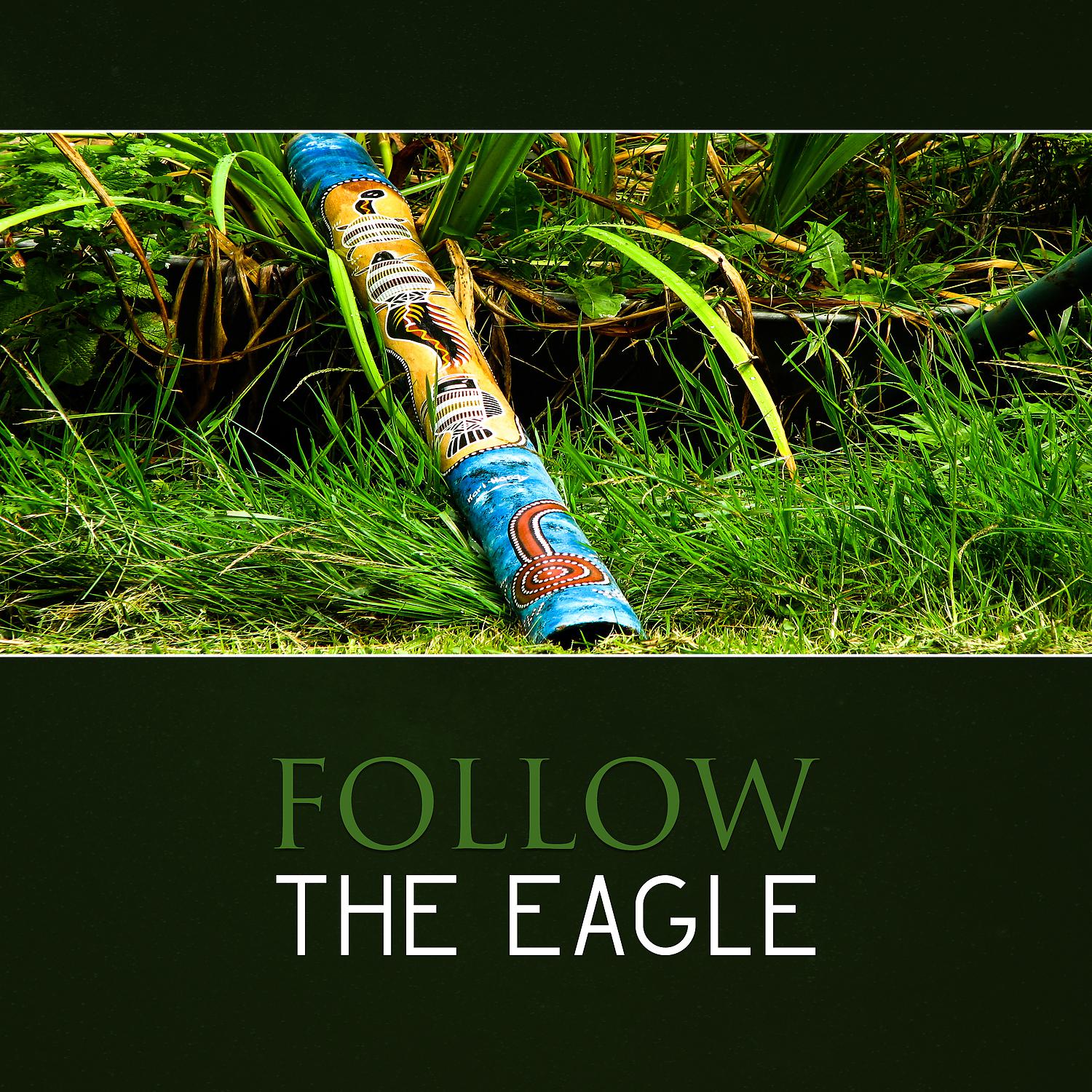 Постер альбома Follow the Eagle – Shamanic Drums with Didgeridoo Music, Australian Meditation and Shaman Wisdom, Ancient Tradition
