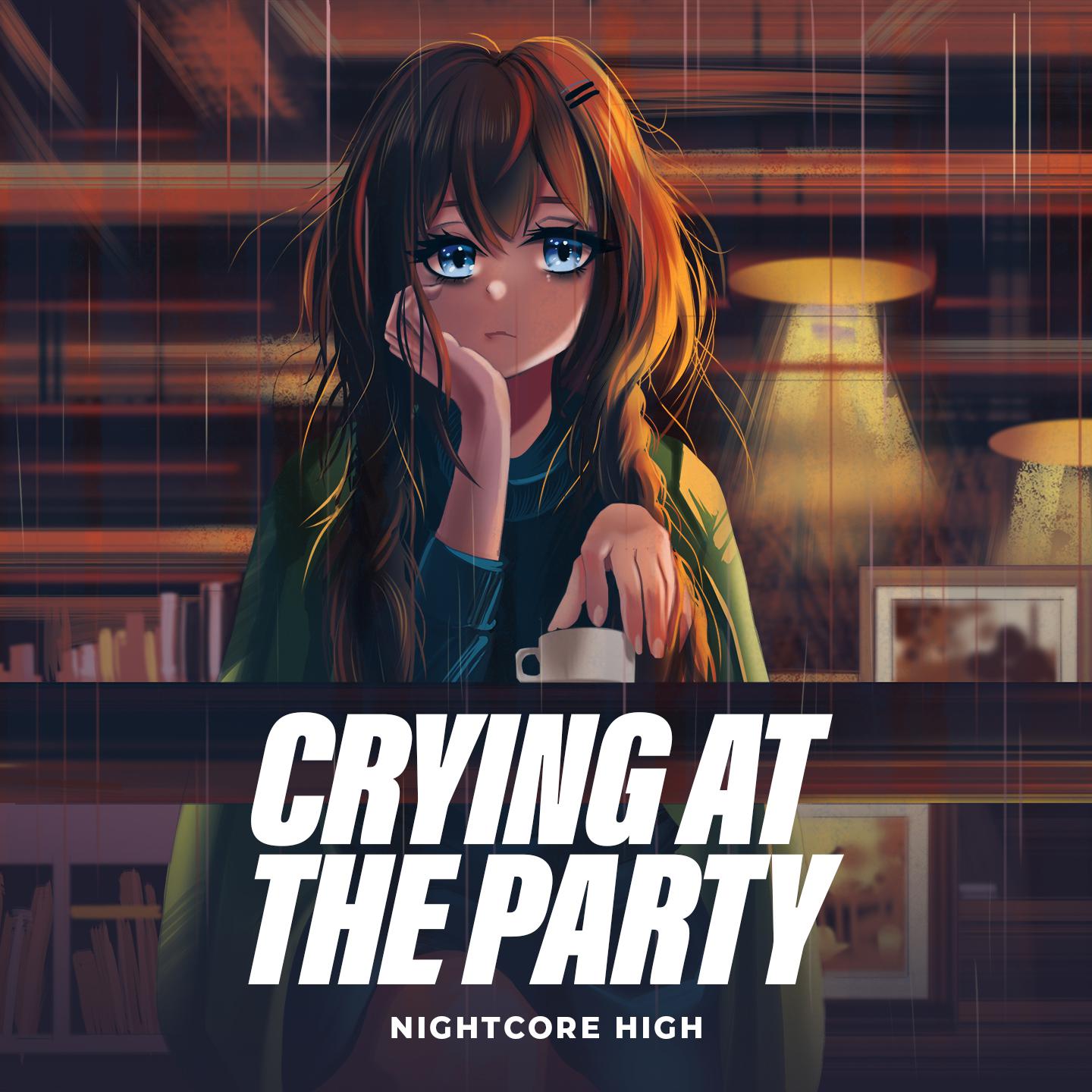 Постер альбома Crying At The Party
