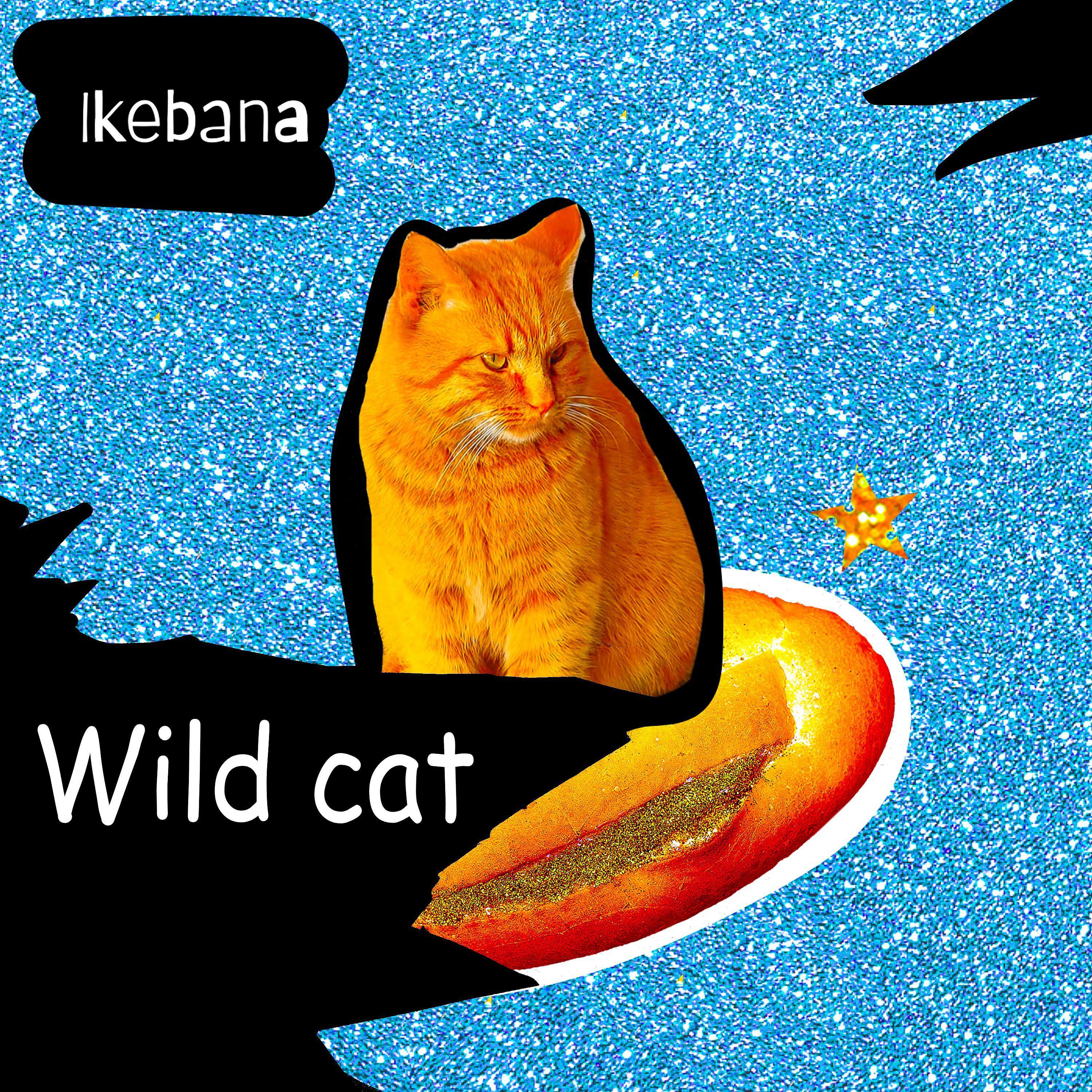 Постер альбома Wild Cat