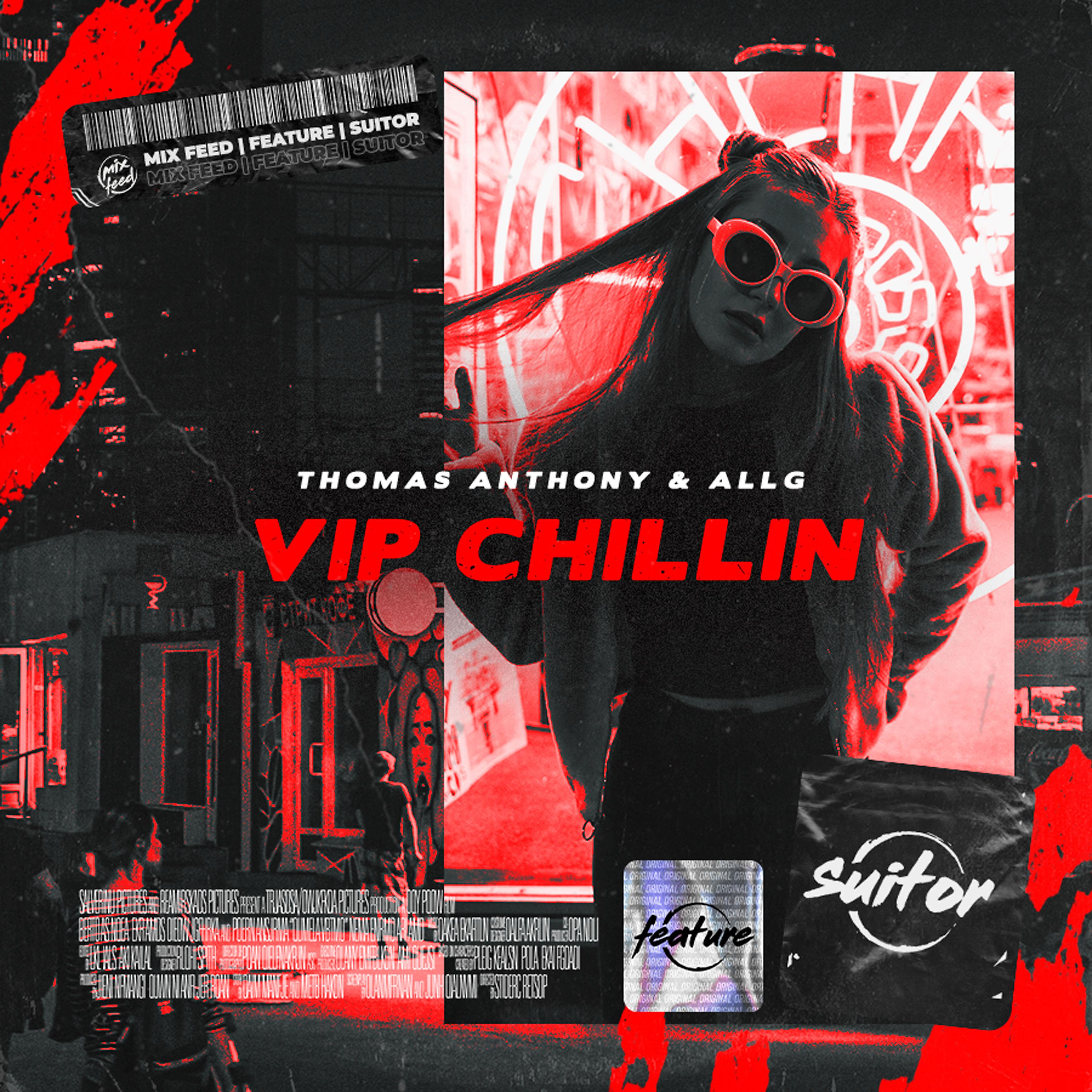 Постер альбома Vip Chillin