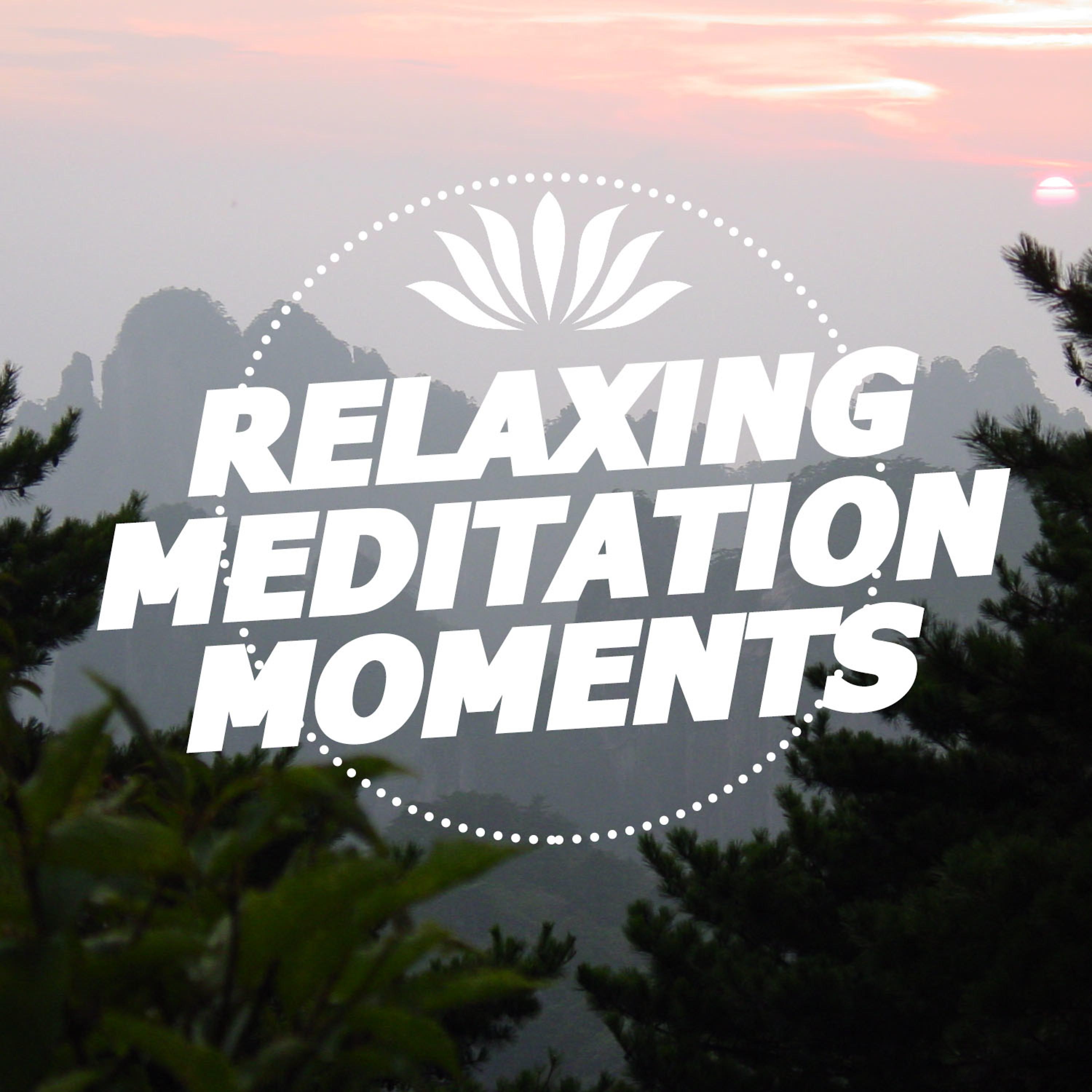 Постер альбома Relaxing Meditation Moments