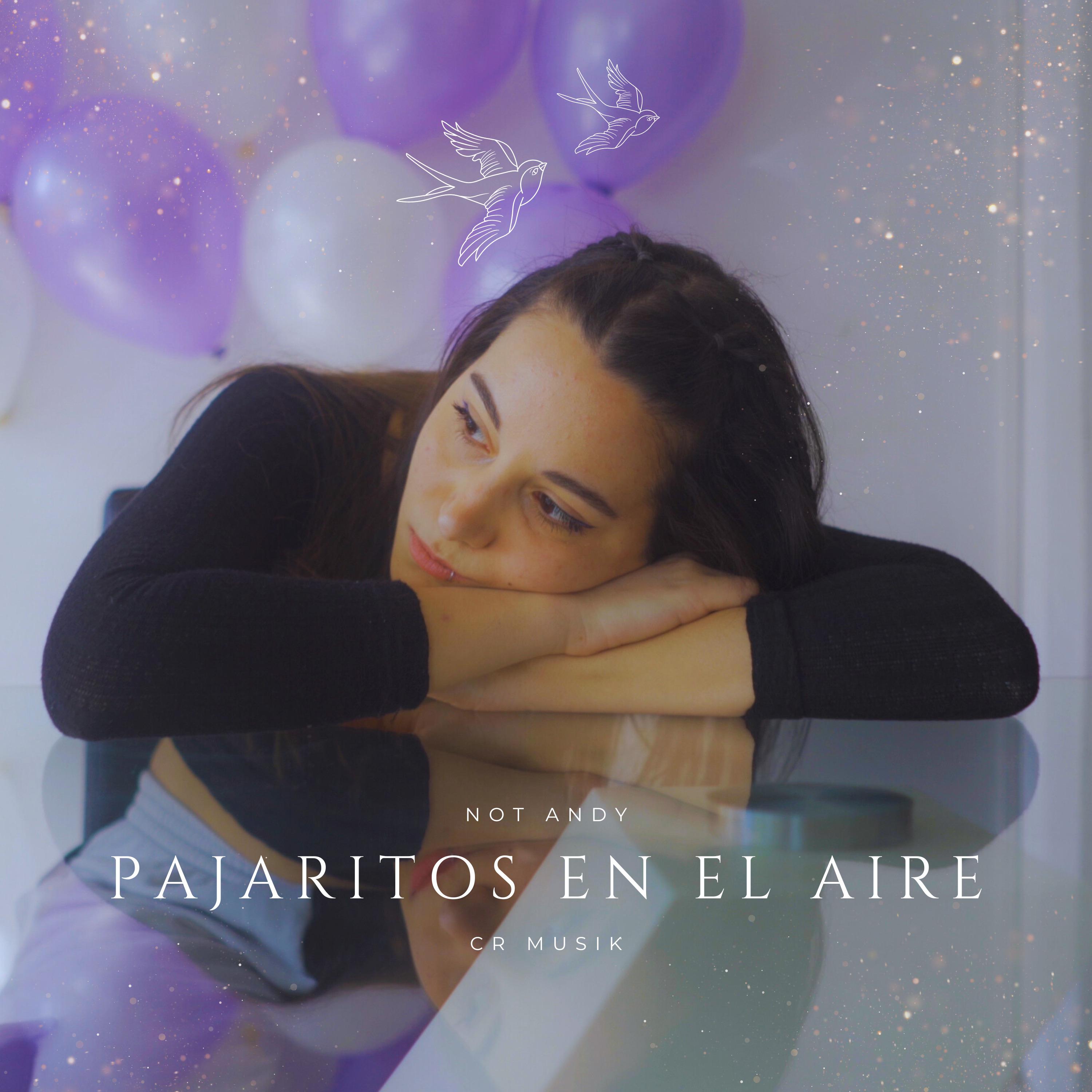Постер альбома Pajaritos en el Aire