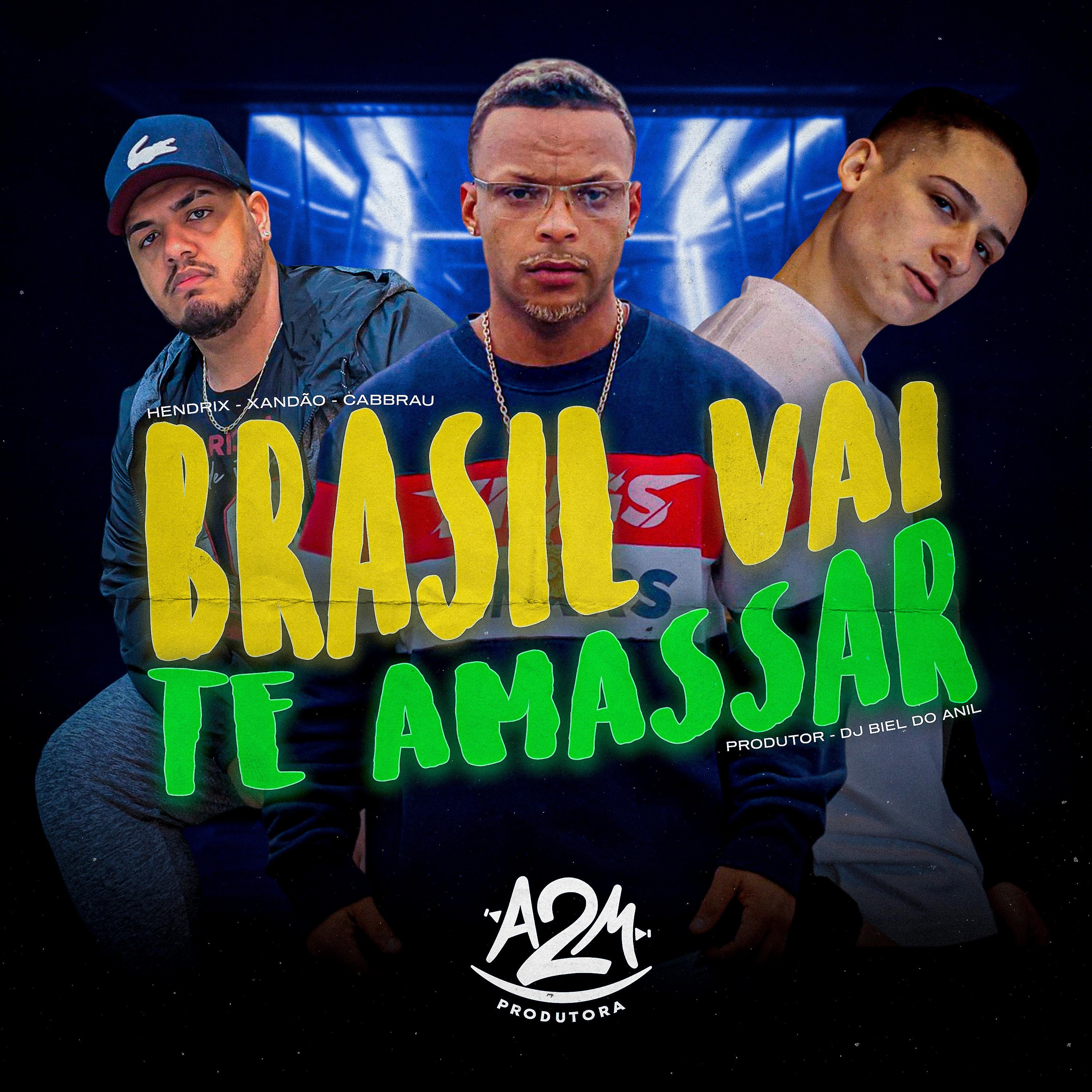 Постер альбома Brasil Vai Te Amassar
