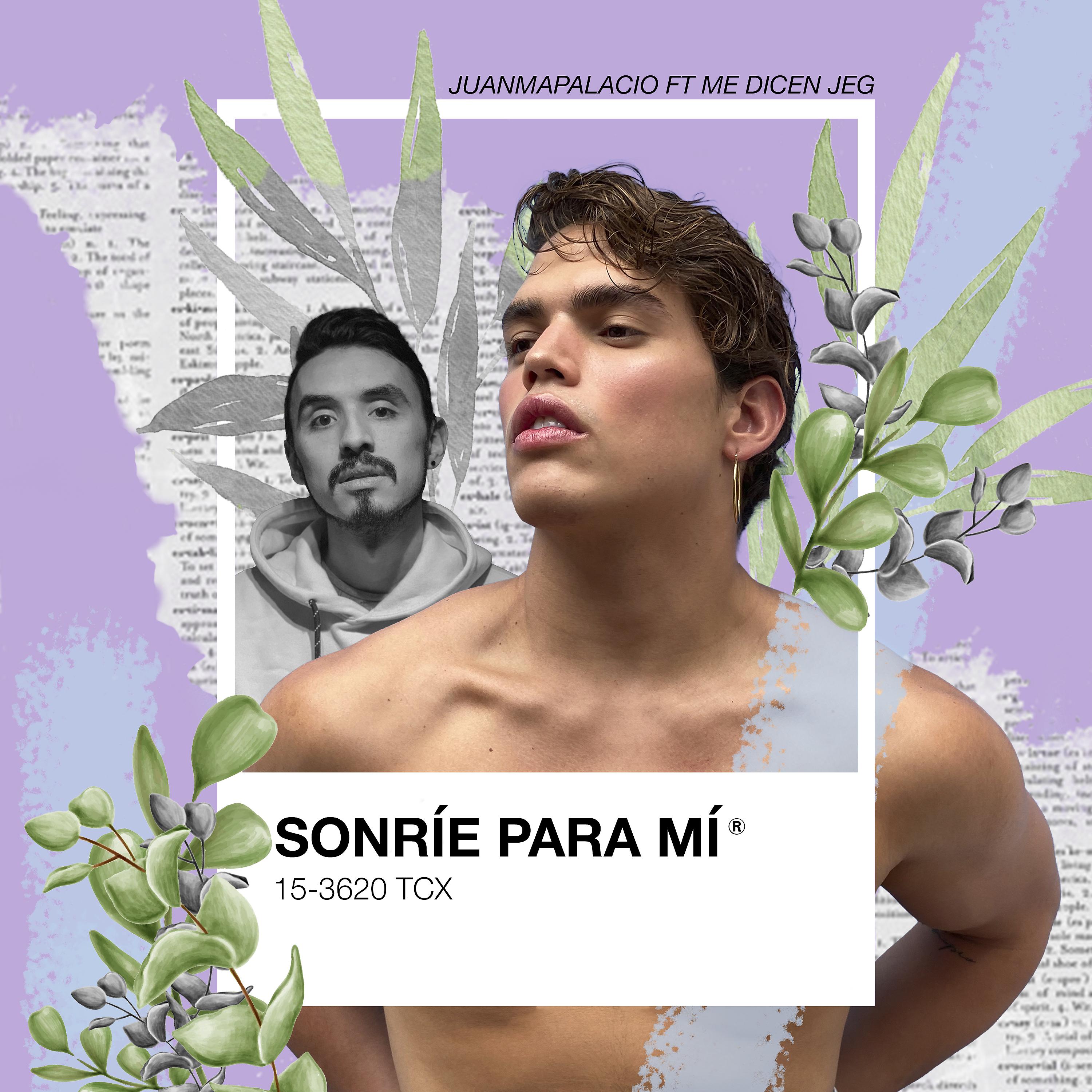 Постер альбома Sonríe Para Mí