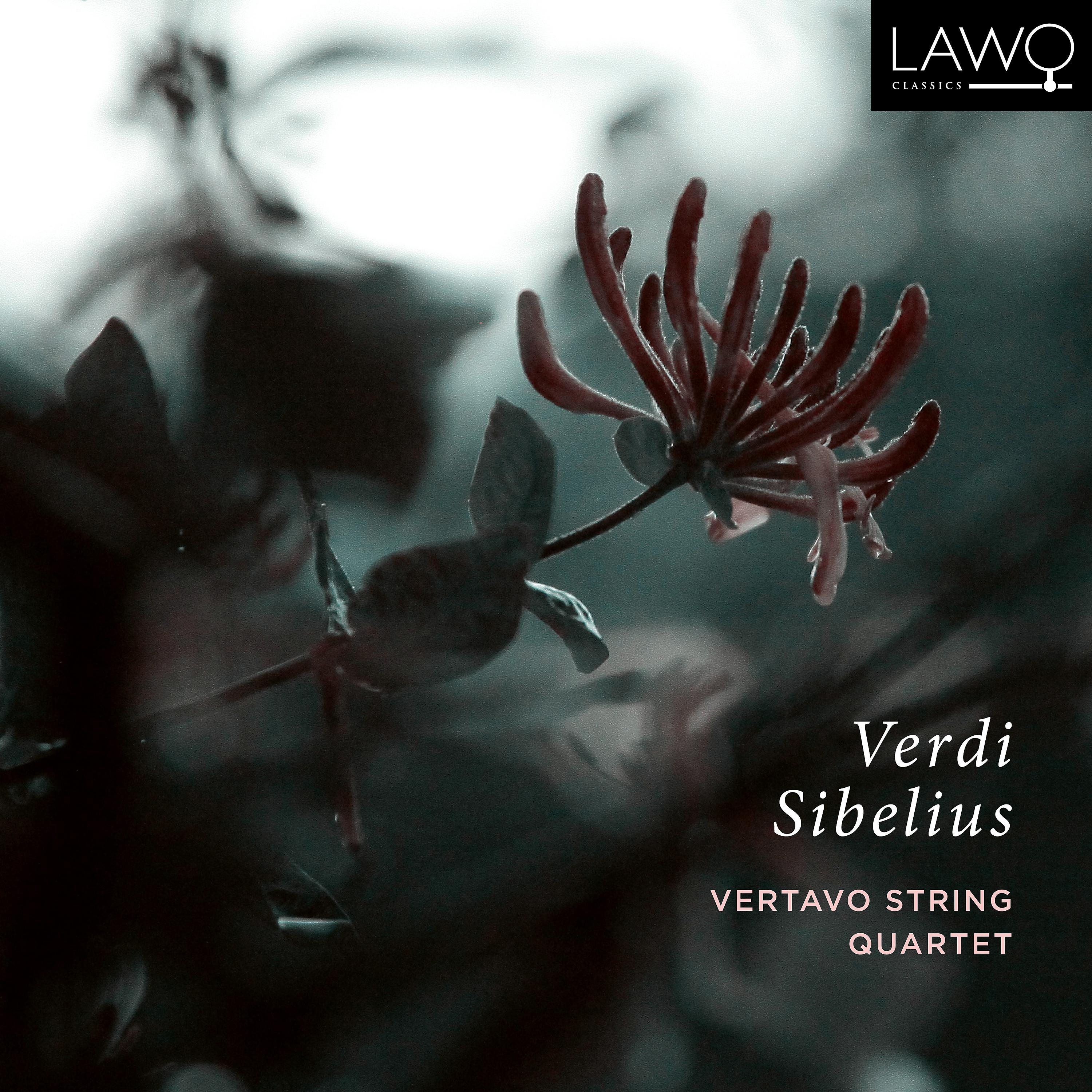Постер альбома Verdi - Sibelius