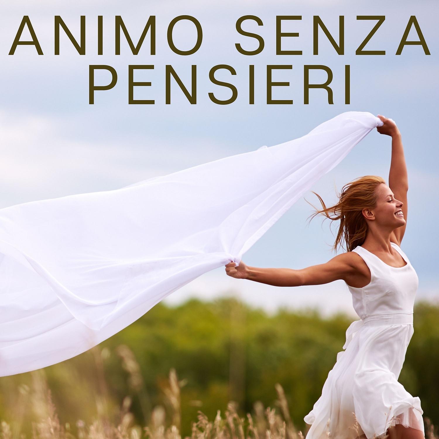 Постер альбома Animo Senza Pensieri