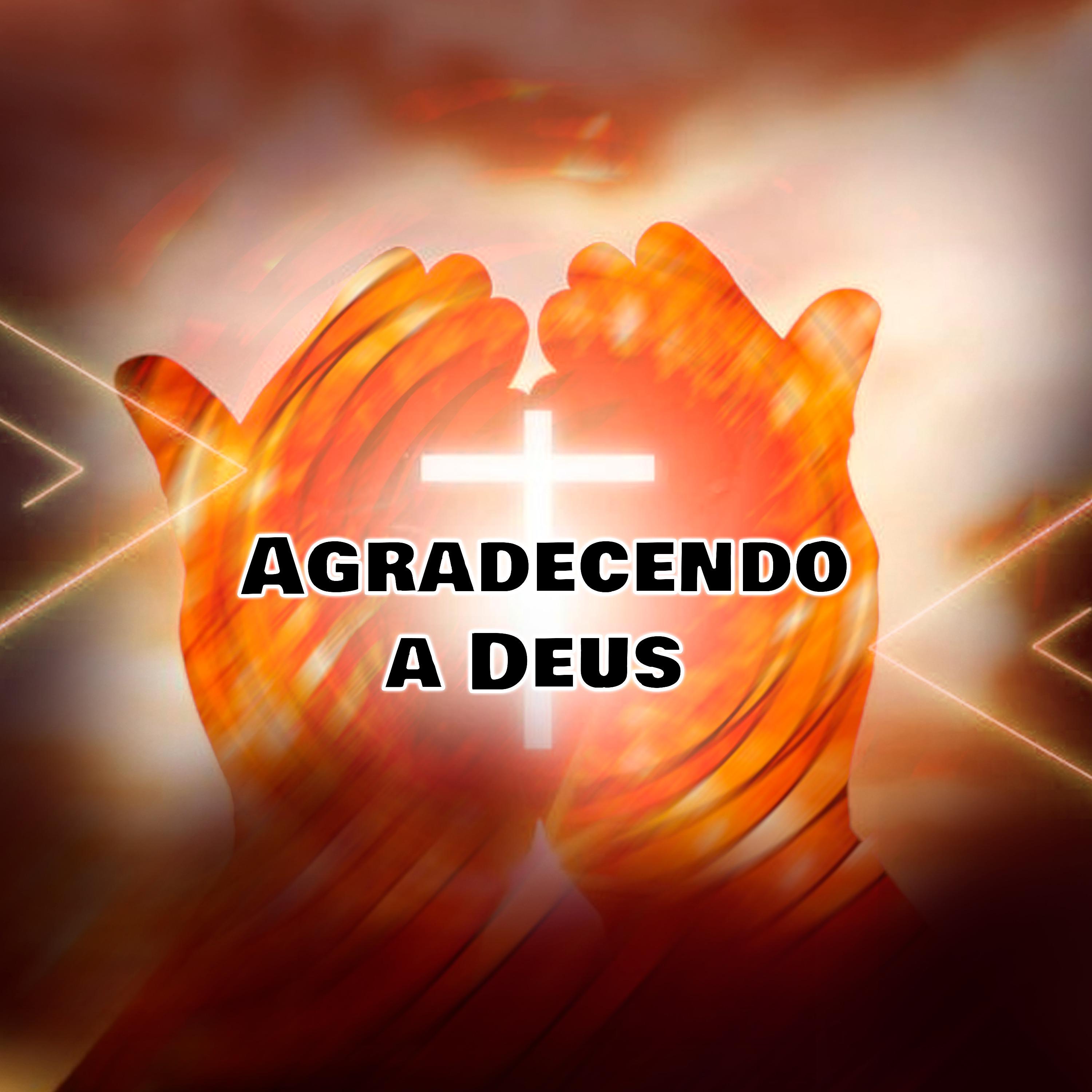 Постер альбома Agradecendo a Deus
