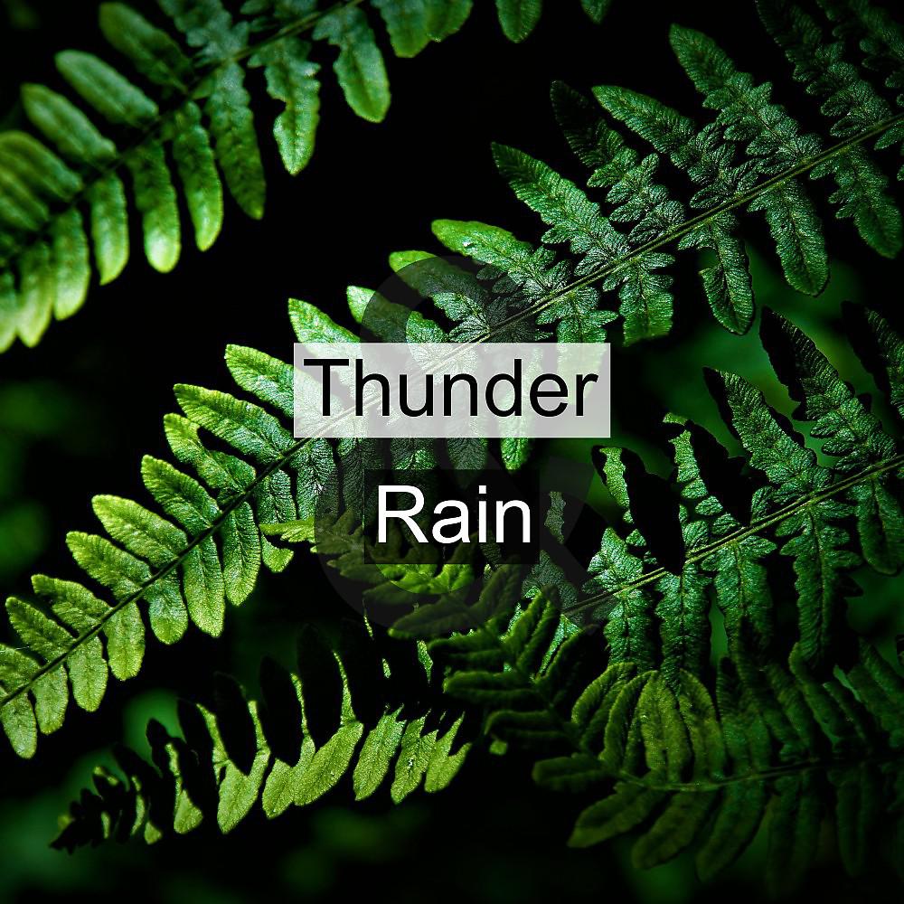 Постер альбома Thunder & Rain