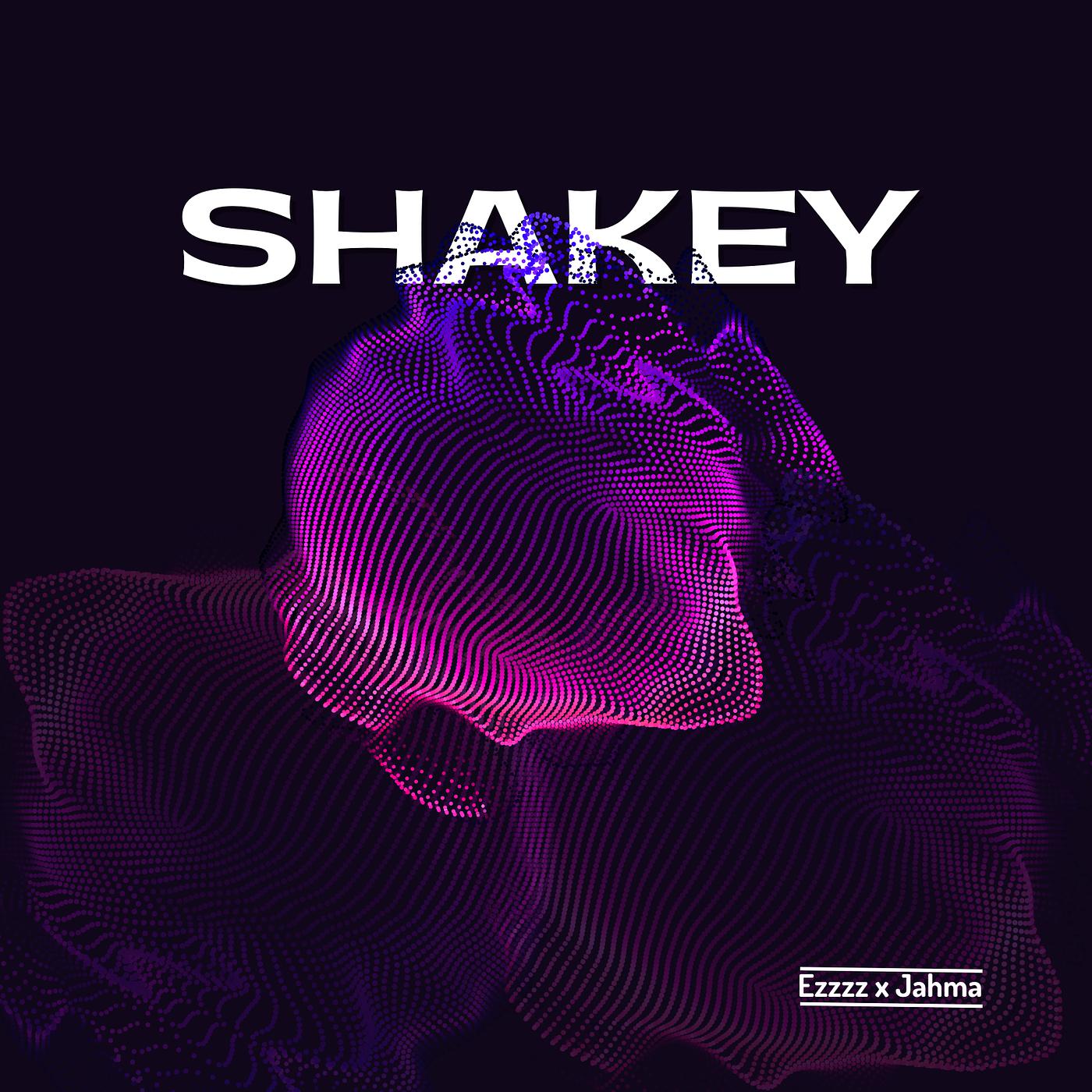 Постер альбома Shakey