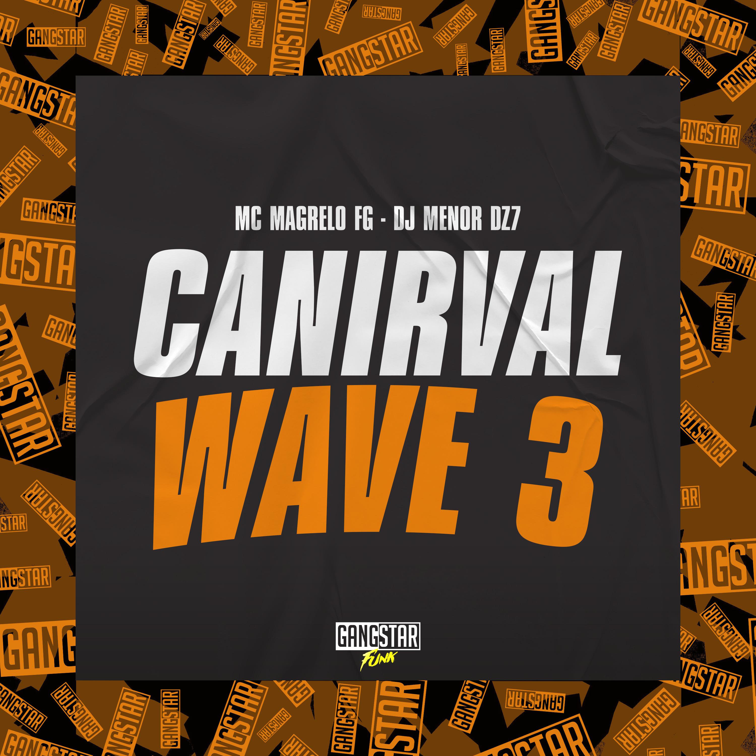 Постер альбома Canirval Wave 3