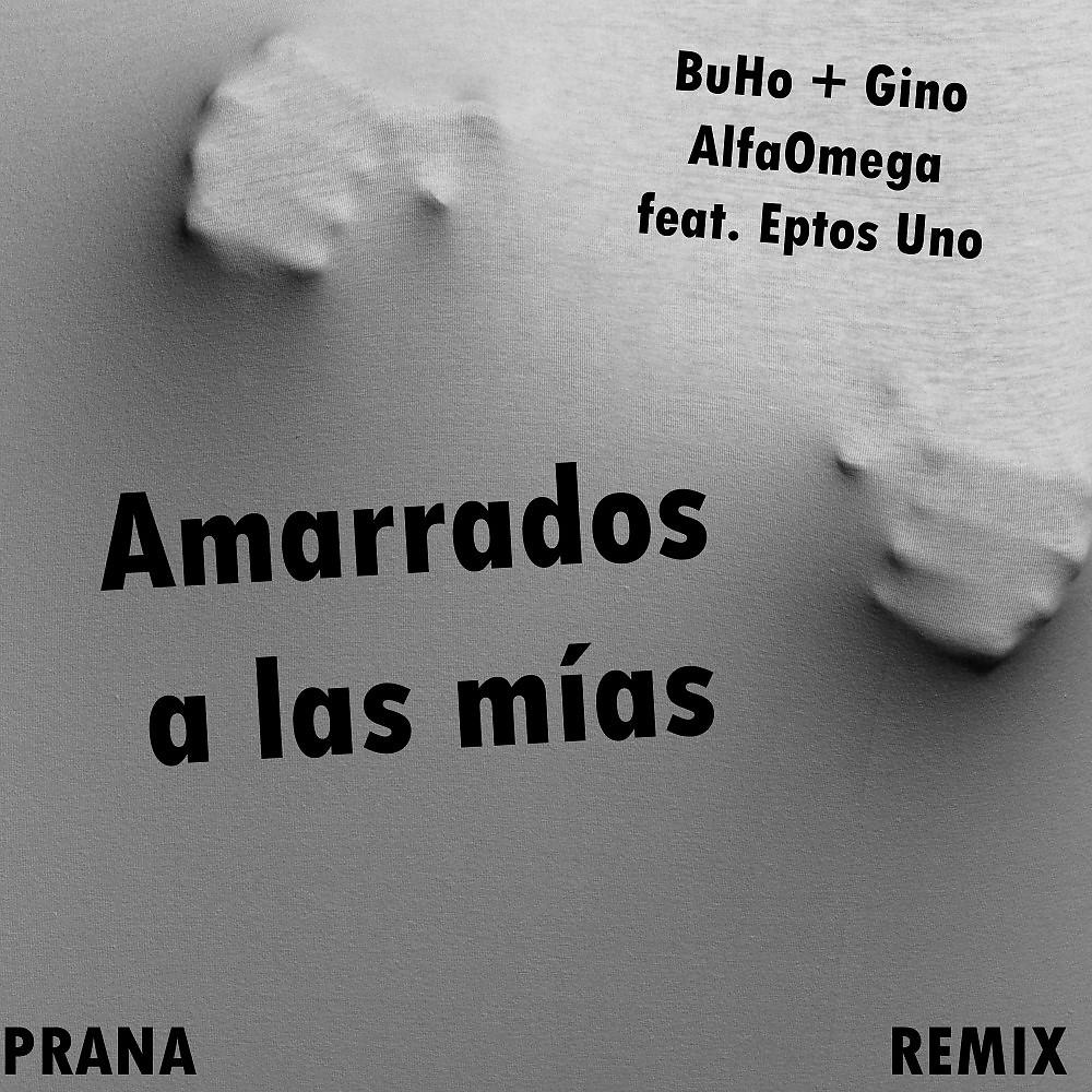 Постер альбома Amarrados a las Mías (Prana Remix)