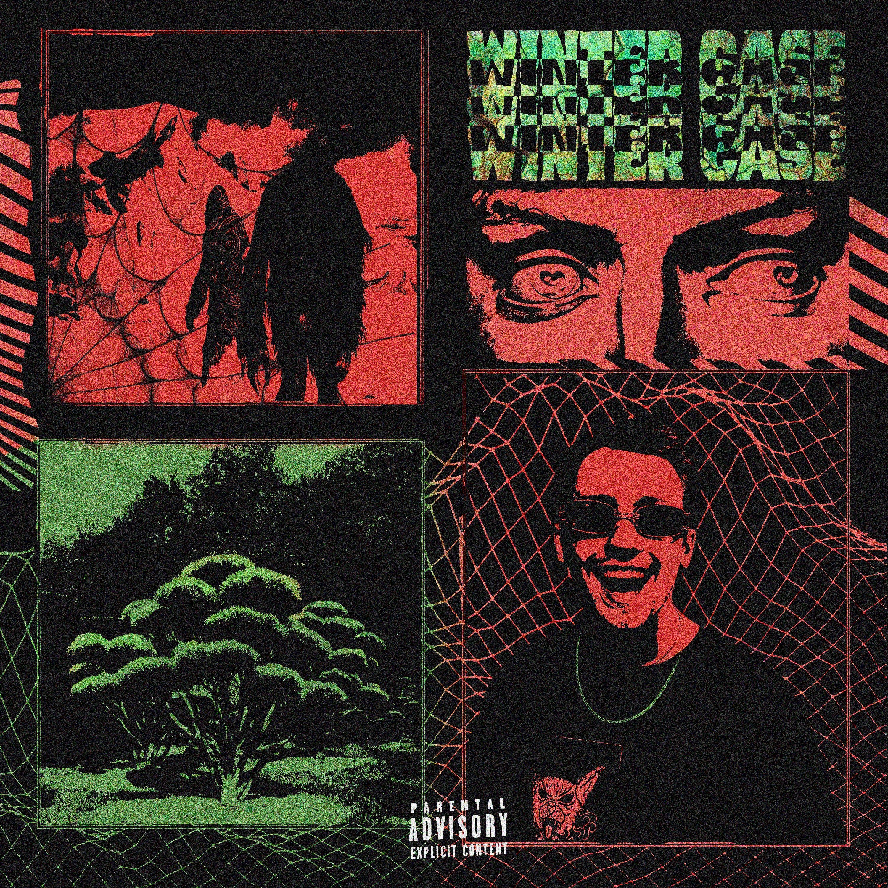 Постер альбома Winter case