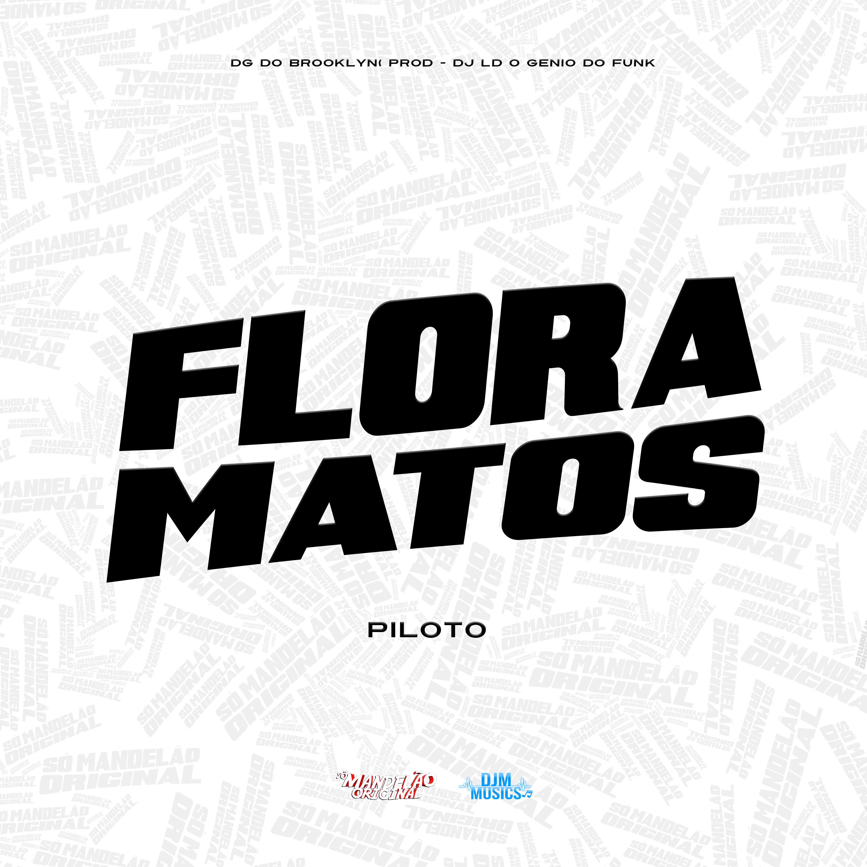 Постер альбома Flora Matos - Piloto