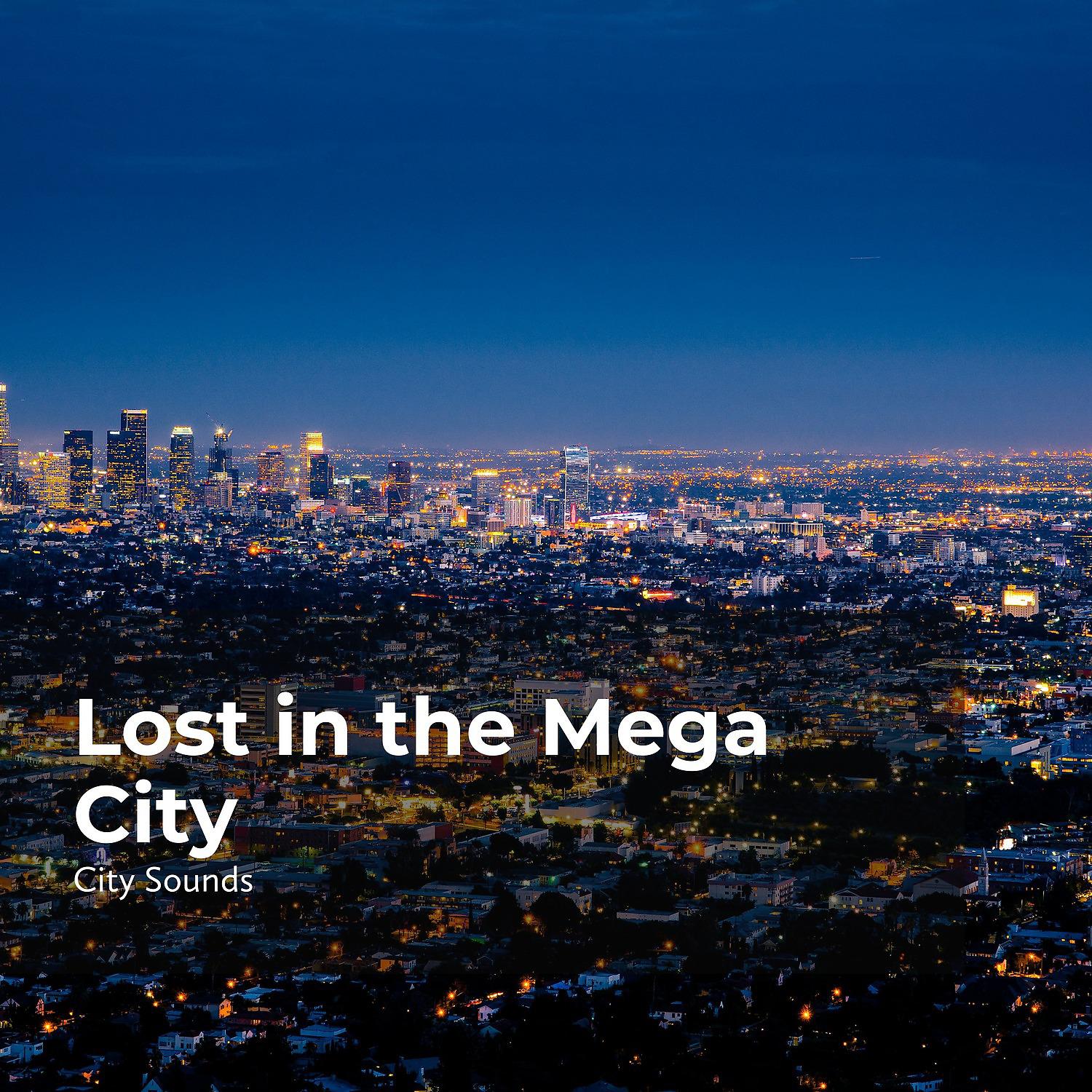 Постер альбома Lost in the Mega City